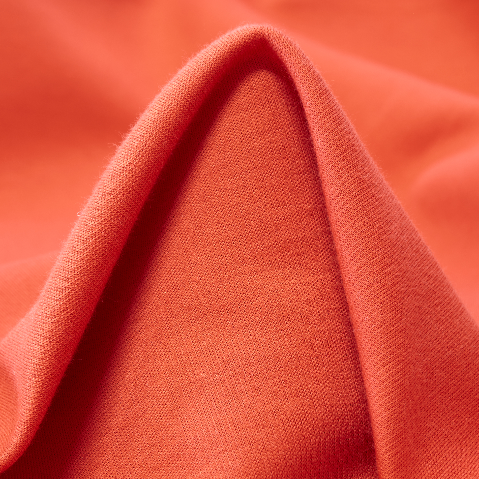 JERSEY, COTTON, LOBSTER (F000035182)