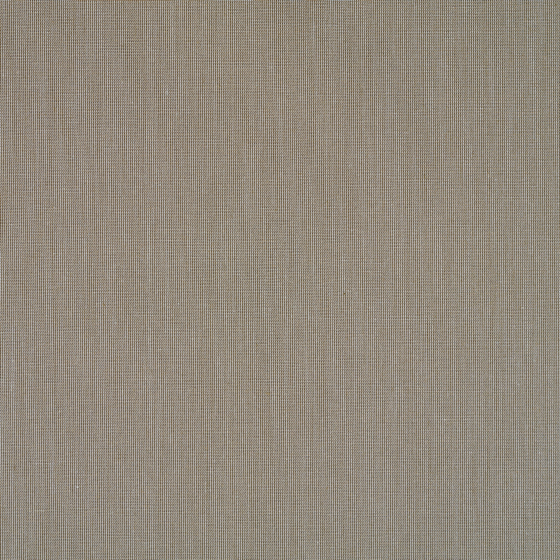 Bawełna, Stretch, Mikrostruktura, Sage (F000037904) - Tkana