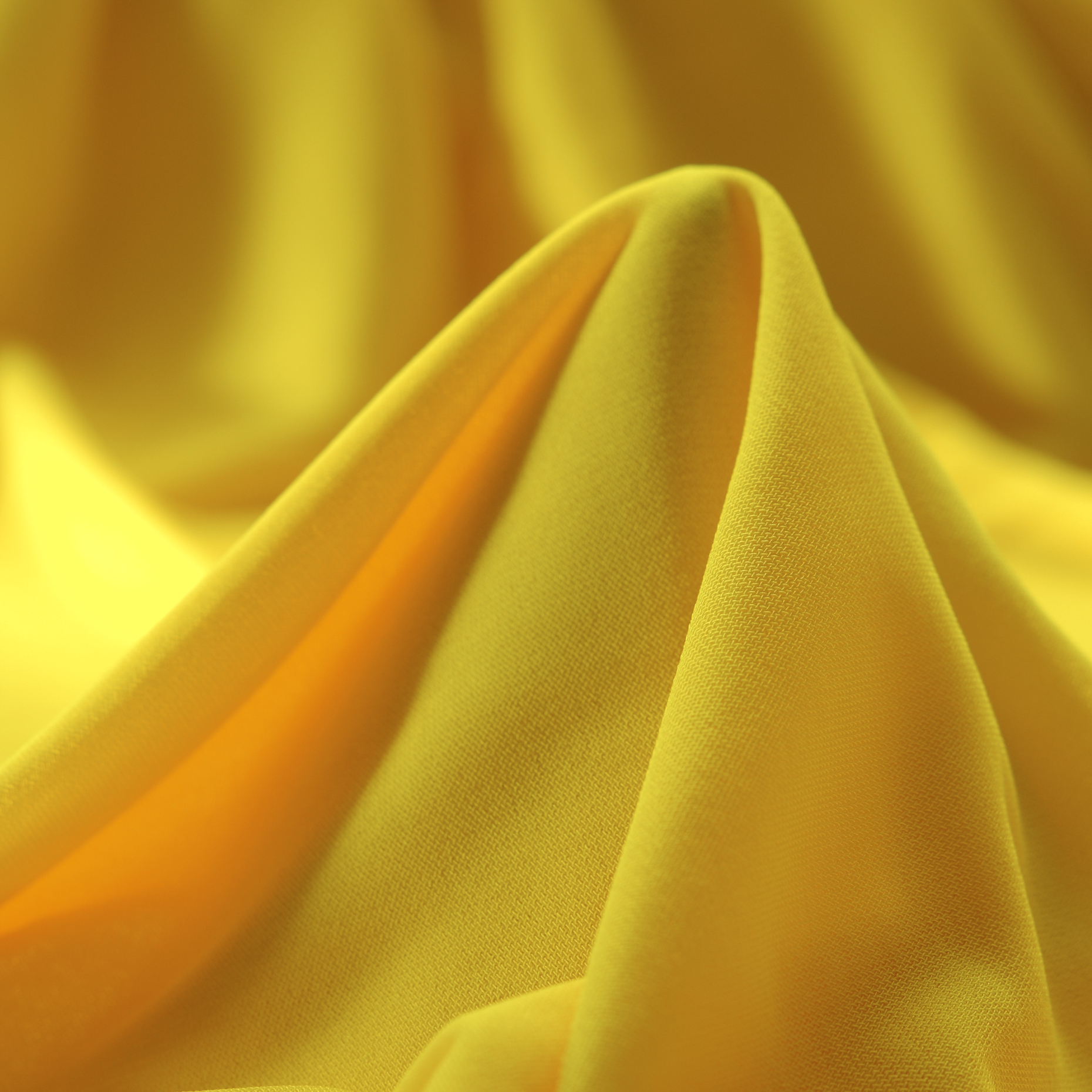 SINGLE JERSEY, CANARY BIRD (F0000683)