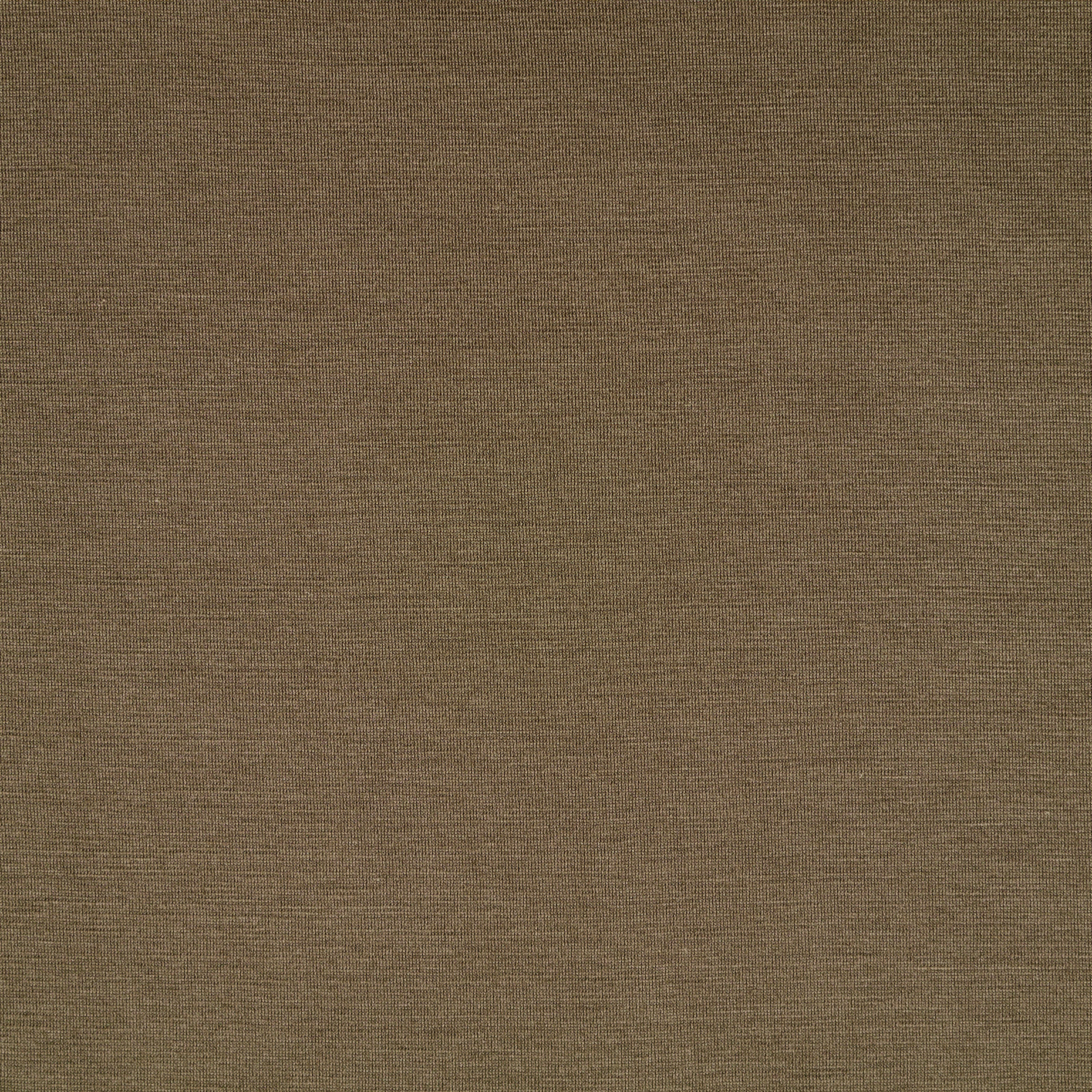 SINGLE JERSEY, COTTON, FOSSIL (F000046194) - Texture