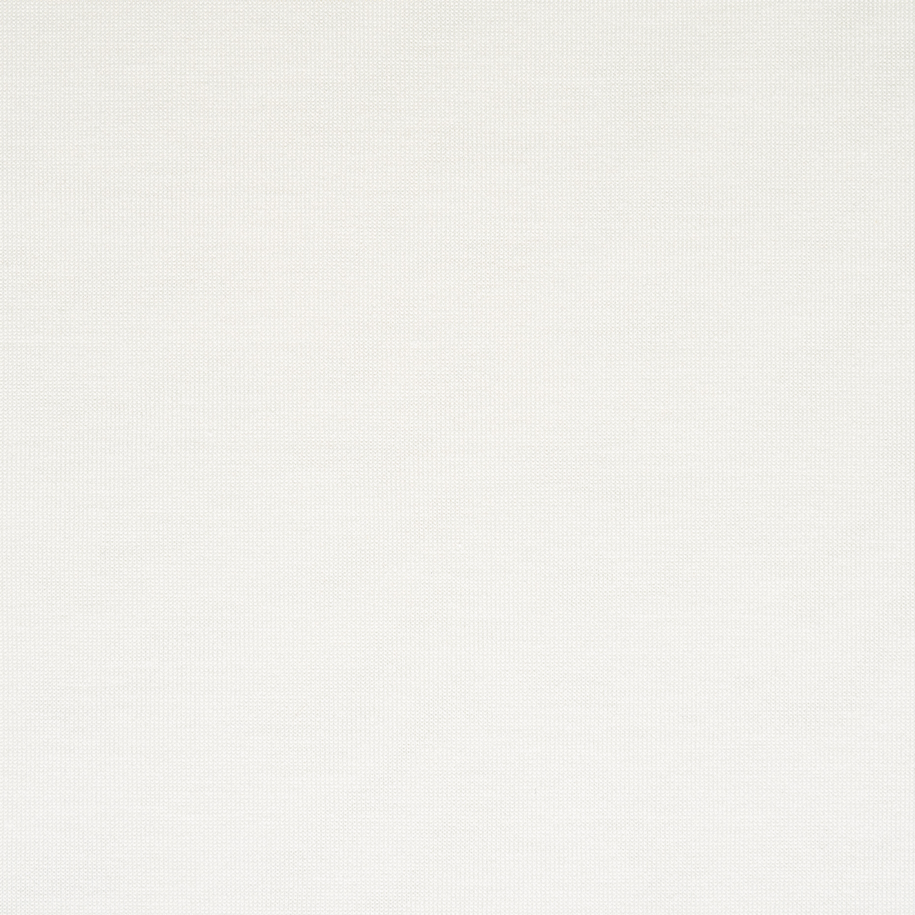 Single Jersey, Cotone, Rivestito, Snow White (F000048905) - Trama