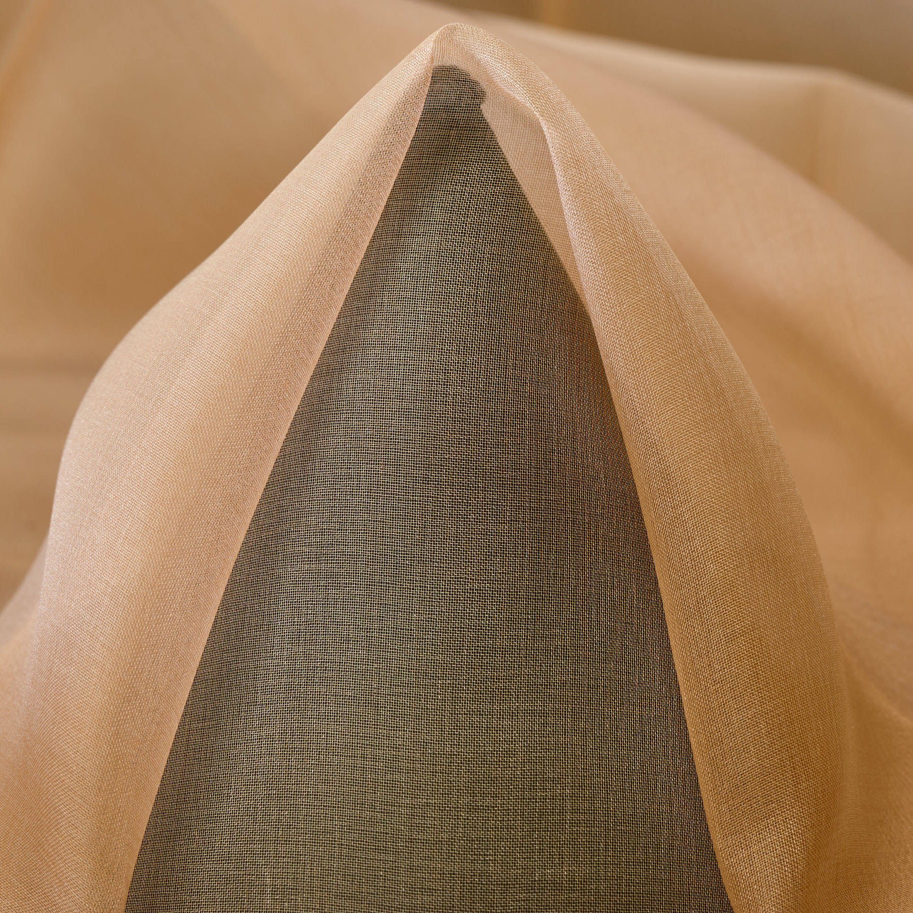 ORGANZA, SILK, FRAPPÈ (F000046049)