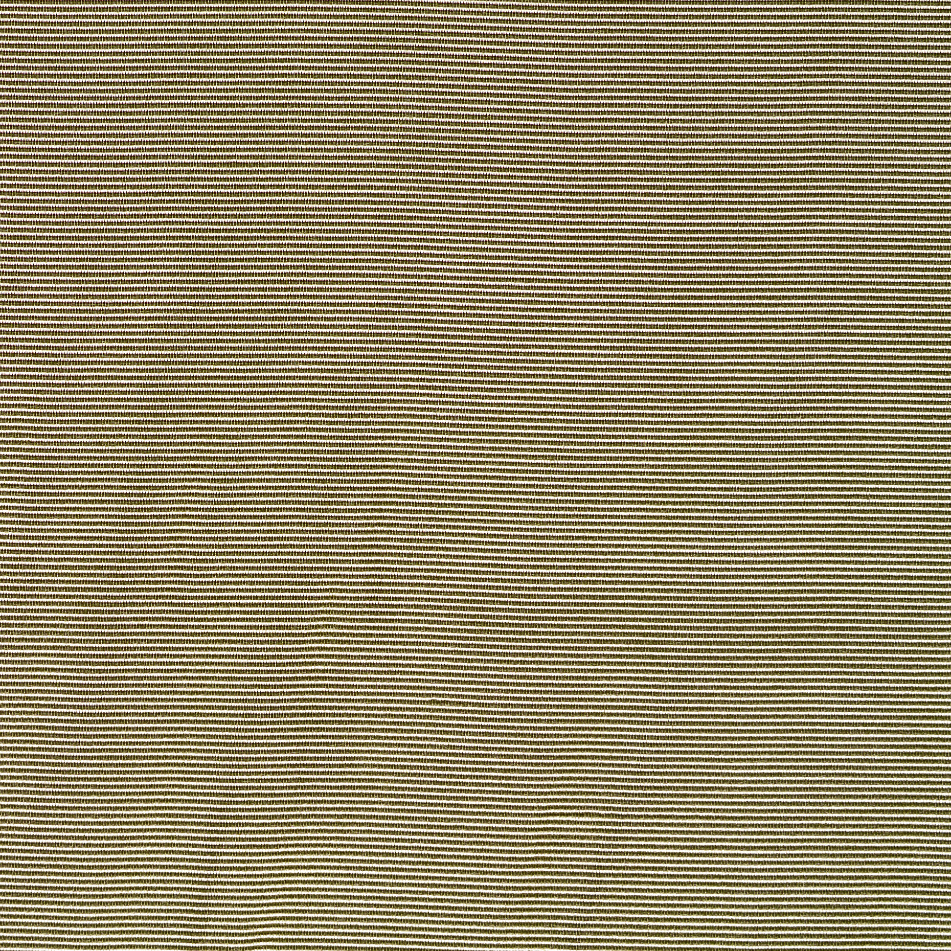 RIBS, VISCOSE, MICRO DESIGN, ALOE WASH (F000003797) - Texture