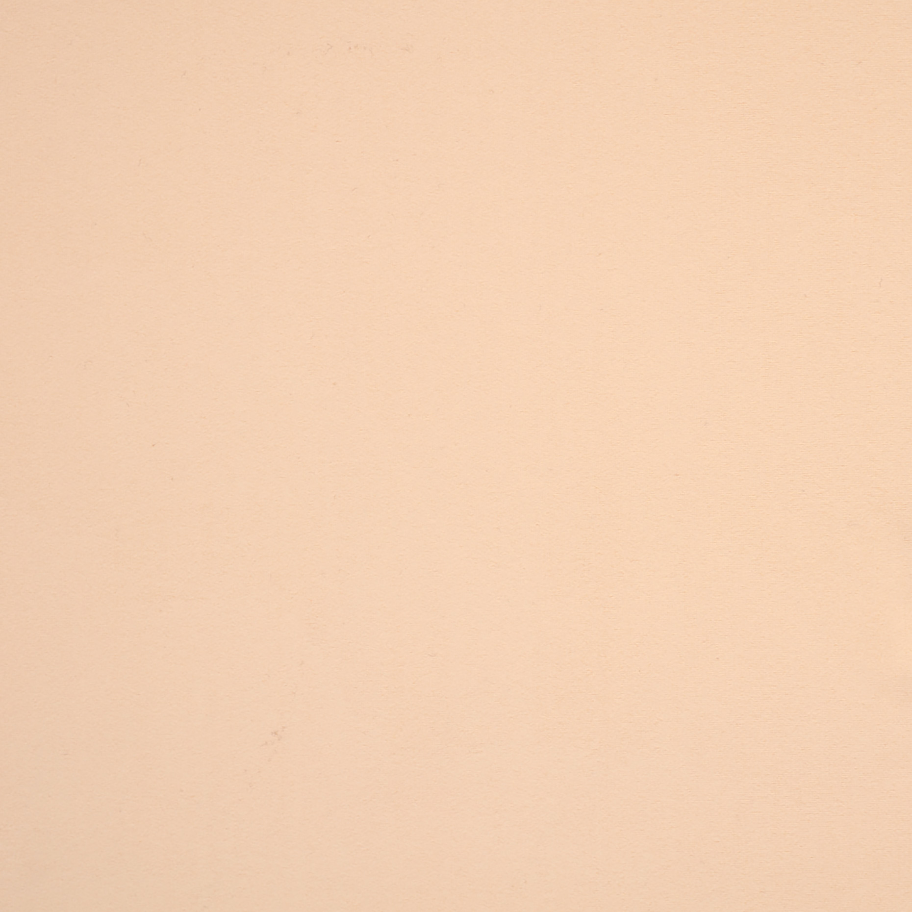 Jersey, Apricot Powder (F000034663) - Tkana