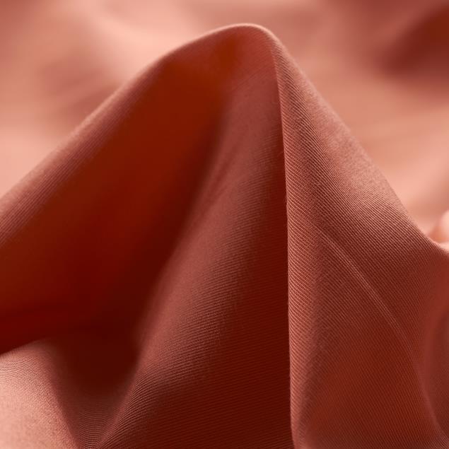 A costine, Deep Sea Coral