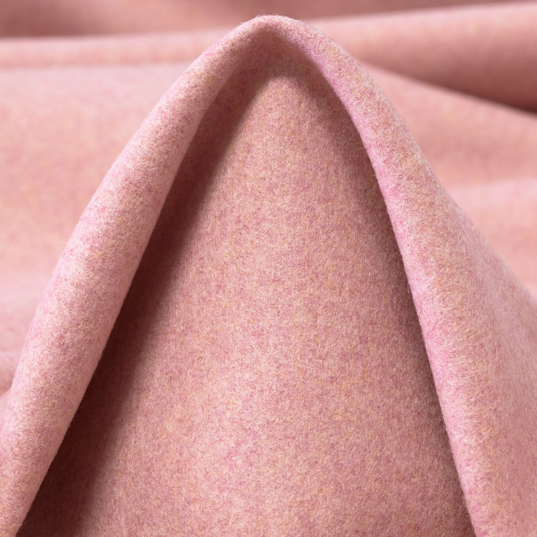 BOILED WOOL, VIRGIN WOOL, BLOSSOM (F000039344)