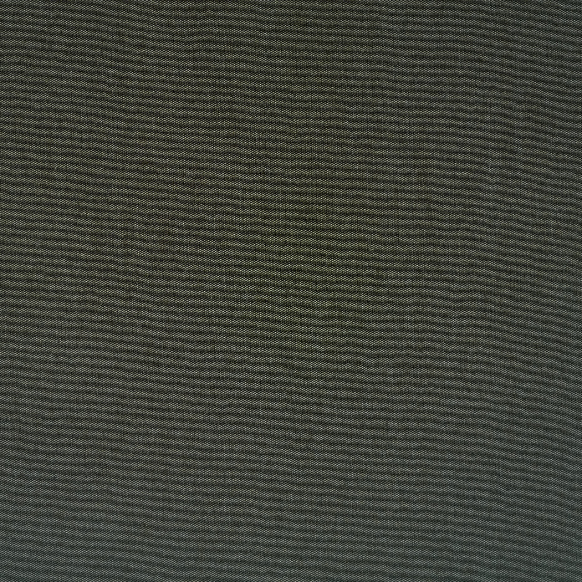 Popeline, Baumwolle Elastik, Thyme (F000043398) - Gewebe