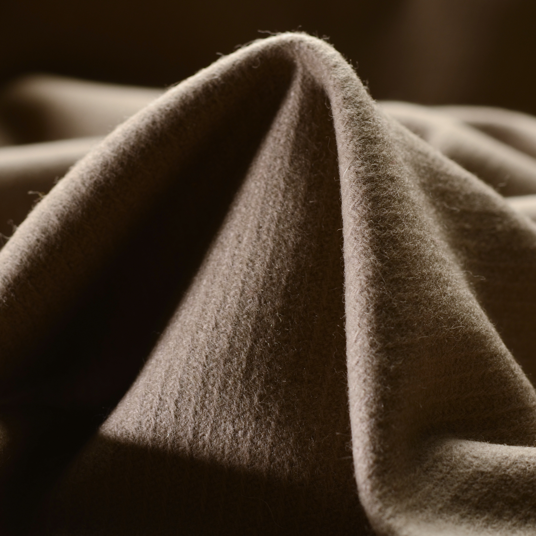 TWILL, VIRGIN WOOL, BOILED WOOL, MUSHROOM (F000023315)