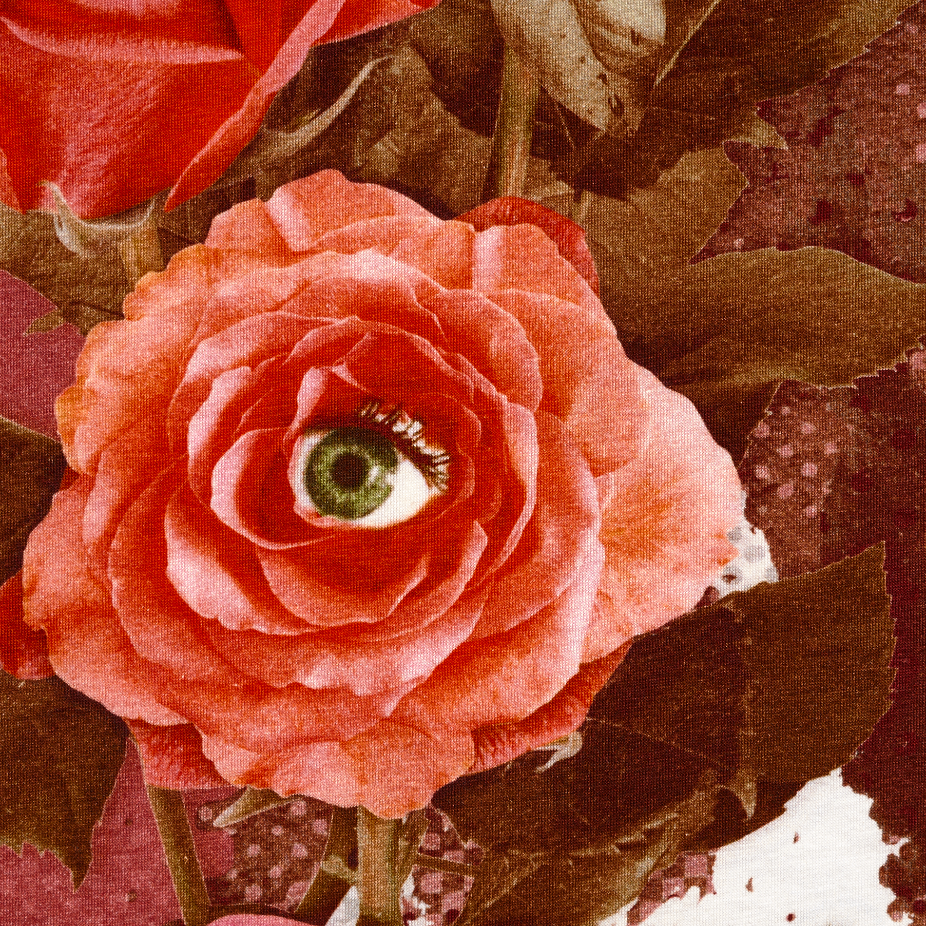 SINGLE JERSEY, COTTON, PRINTED, STRAWBERRY (F000031860) - Texture