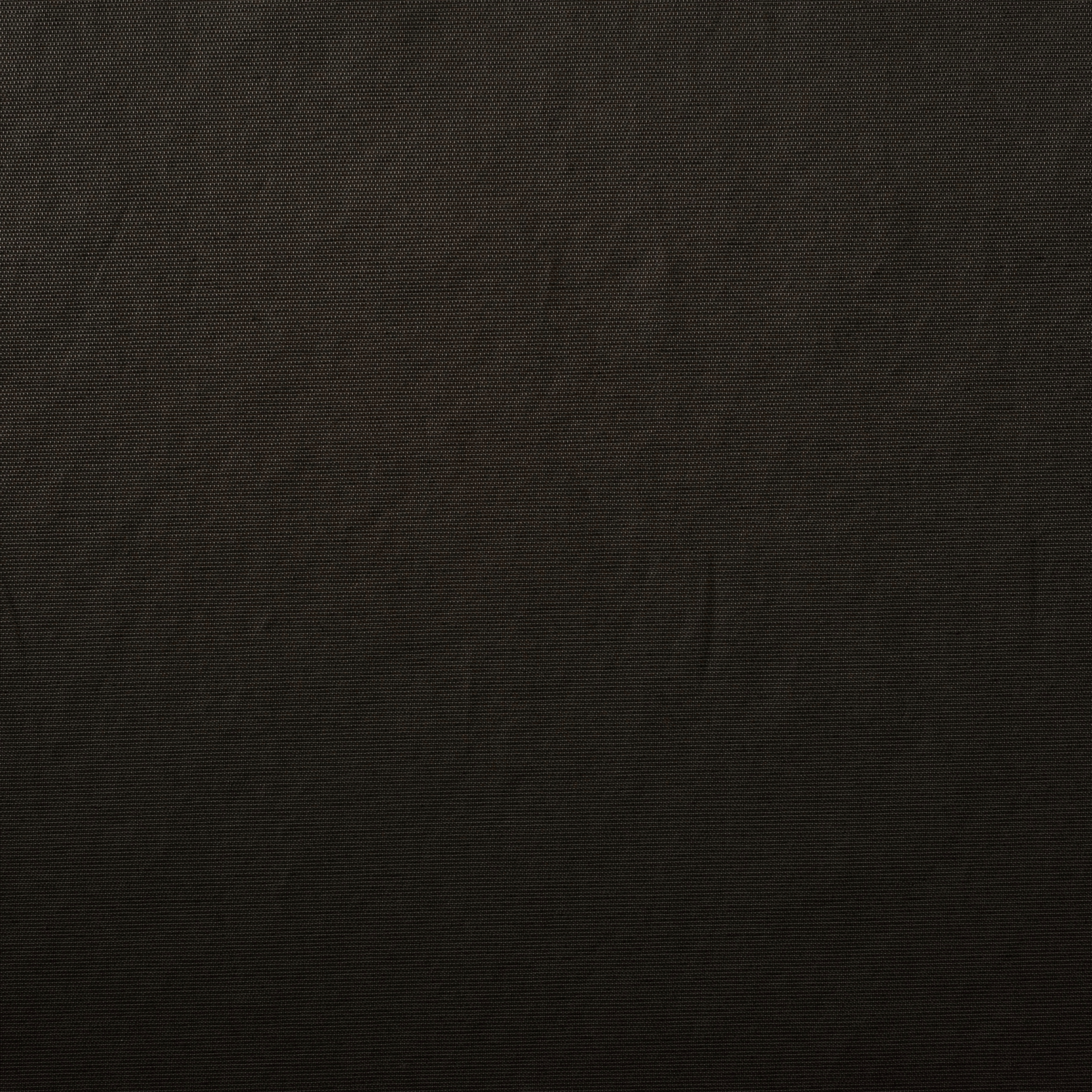 Cotone, Luccicante, Hot Fudge (F000019745) - Trama