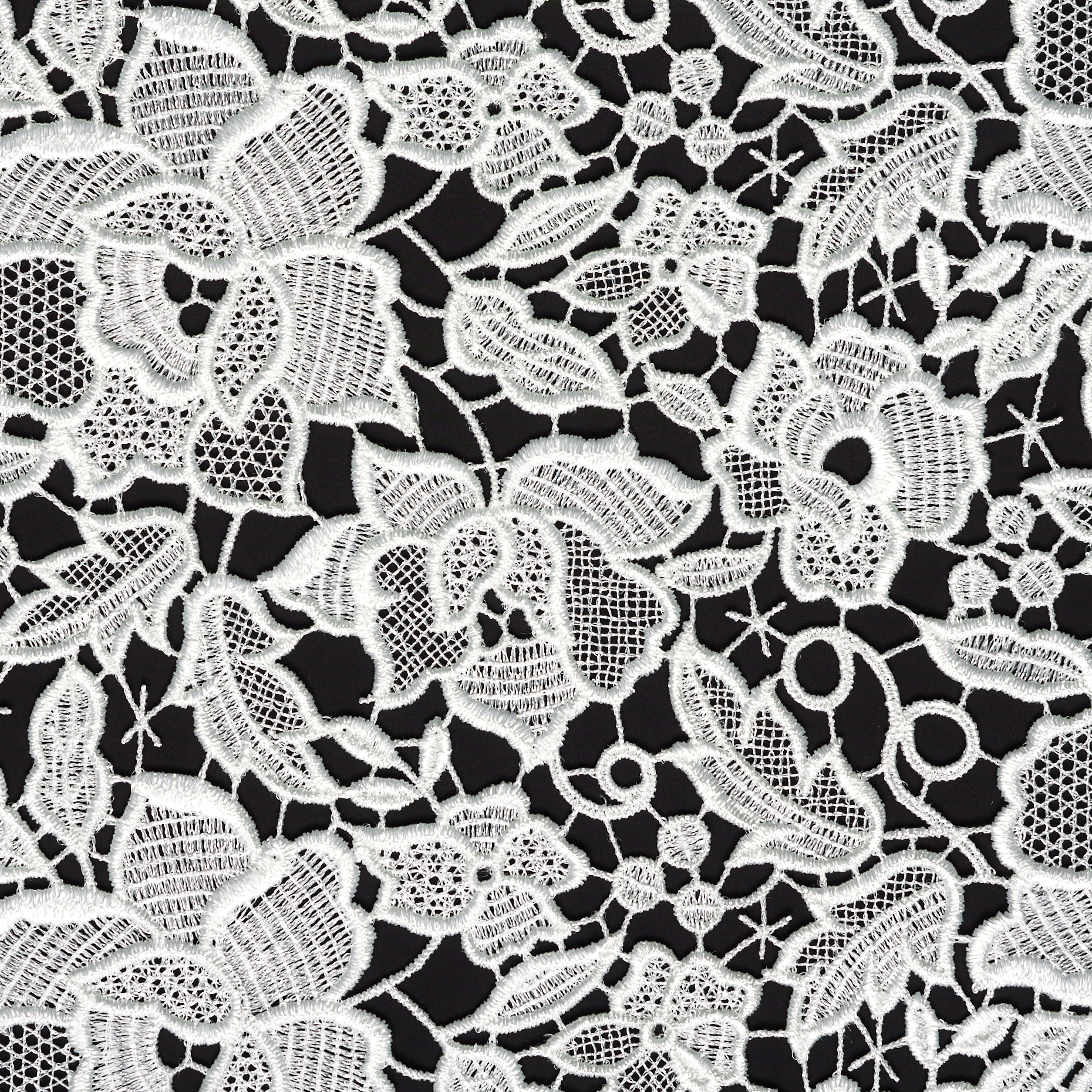 LACE, VISCOSE, FLORAL, SNOW WHITE (B0000029) - Texture