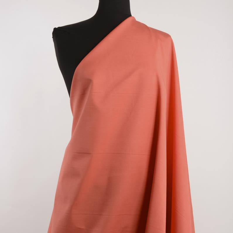 A costine, Deep Sea Coral (F000027752) - Manichino