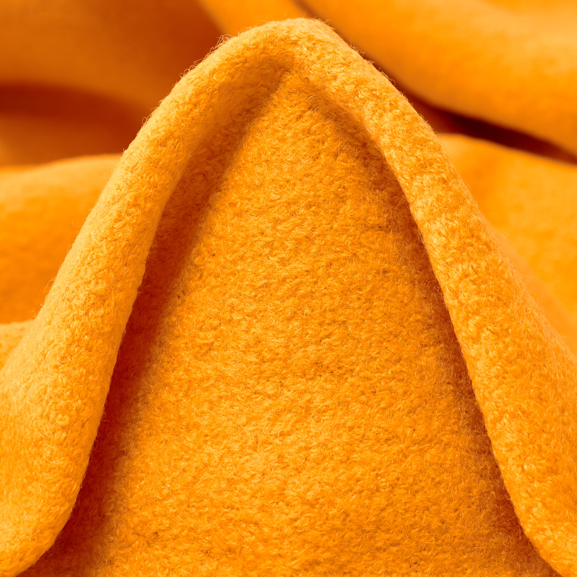 JERSEY, BOILED WOOL, BOUCLÉ, CADMIUM YELLOW (F000040099)