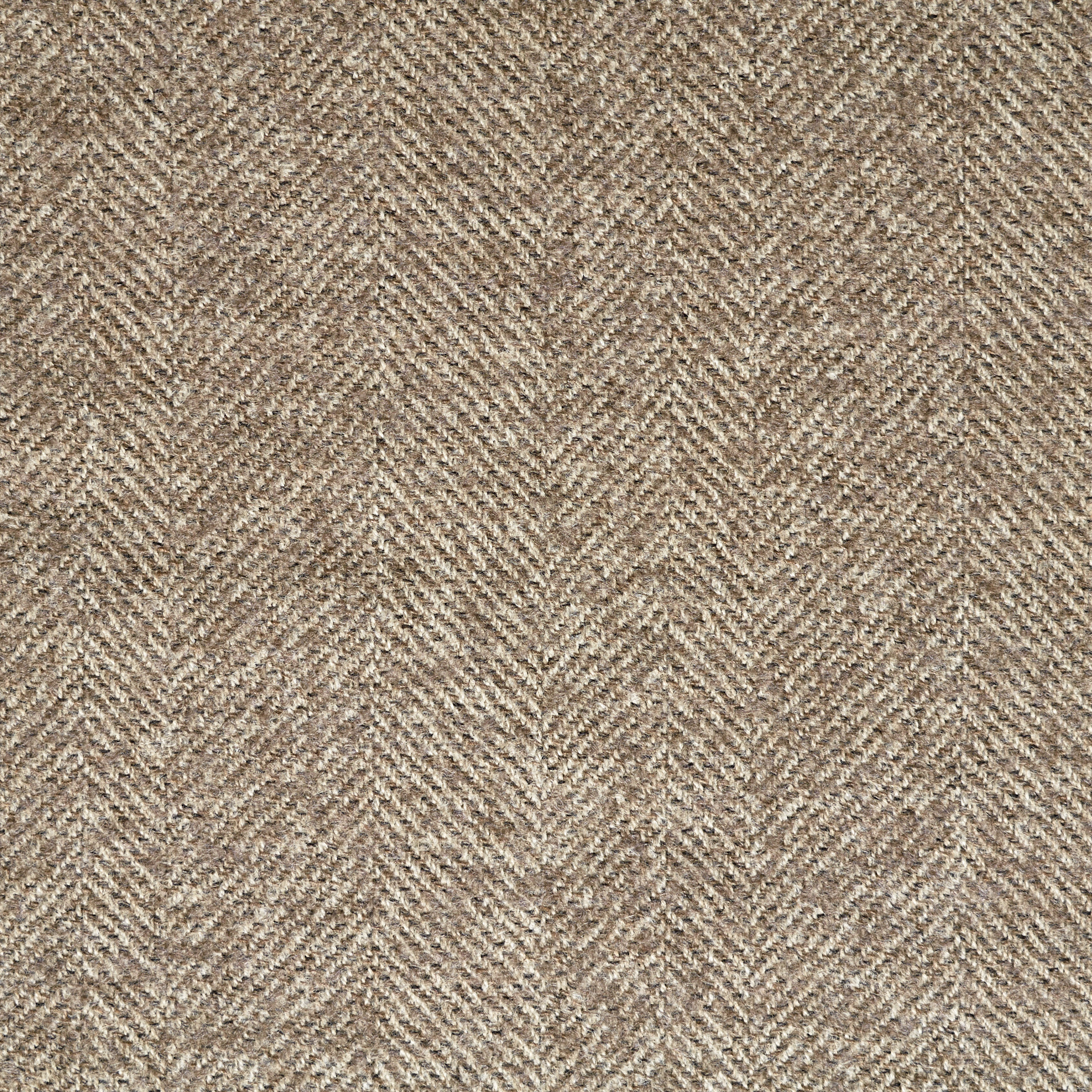 Herringbone, Virgin Wool, Field Of Rye (F000047456) - Texture