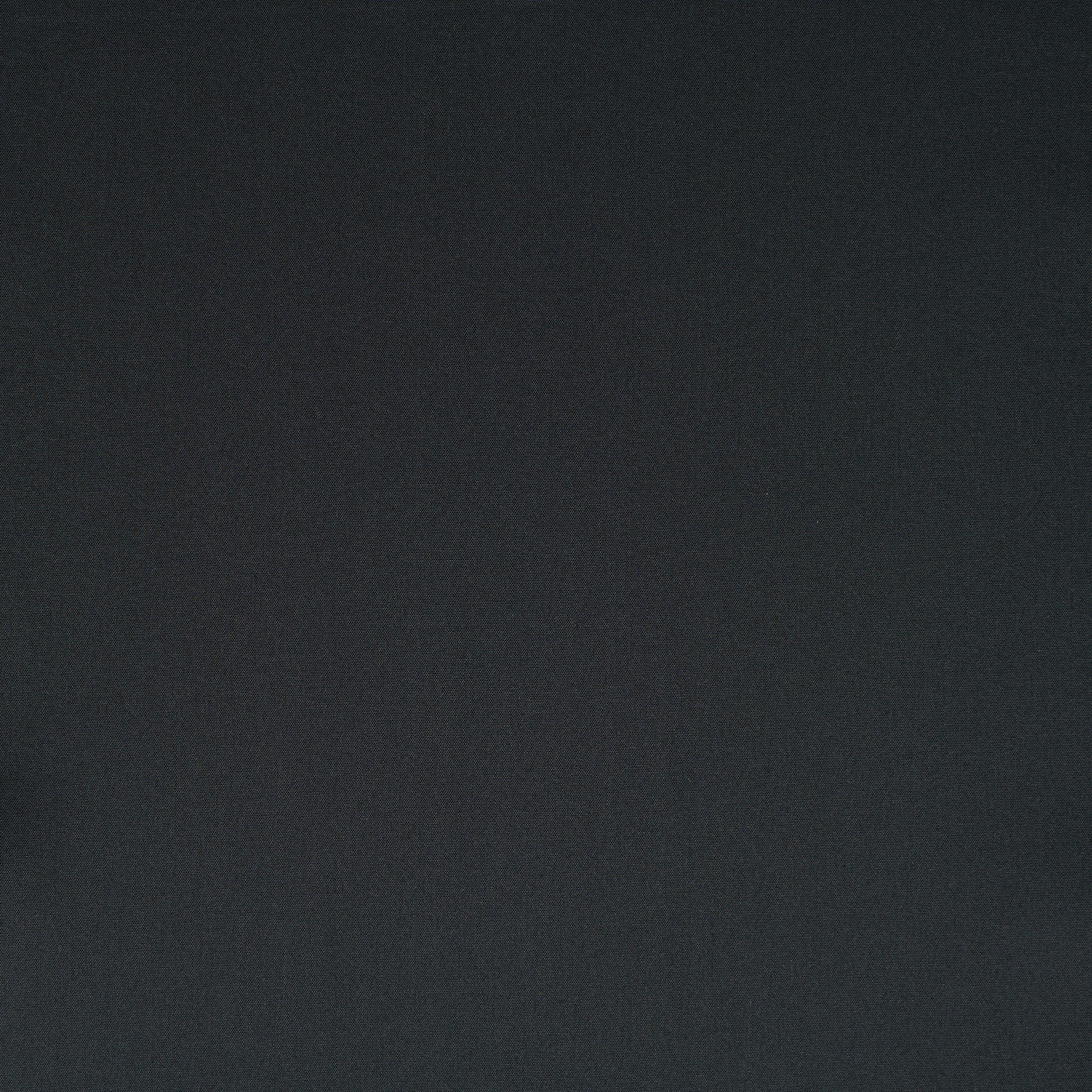 POPLIN, COTTON, ELASTIC, CAVIAR (F000029802) - Texture