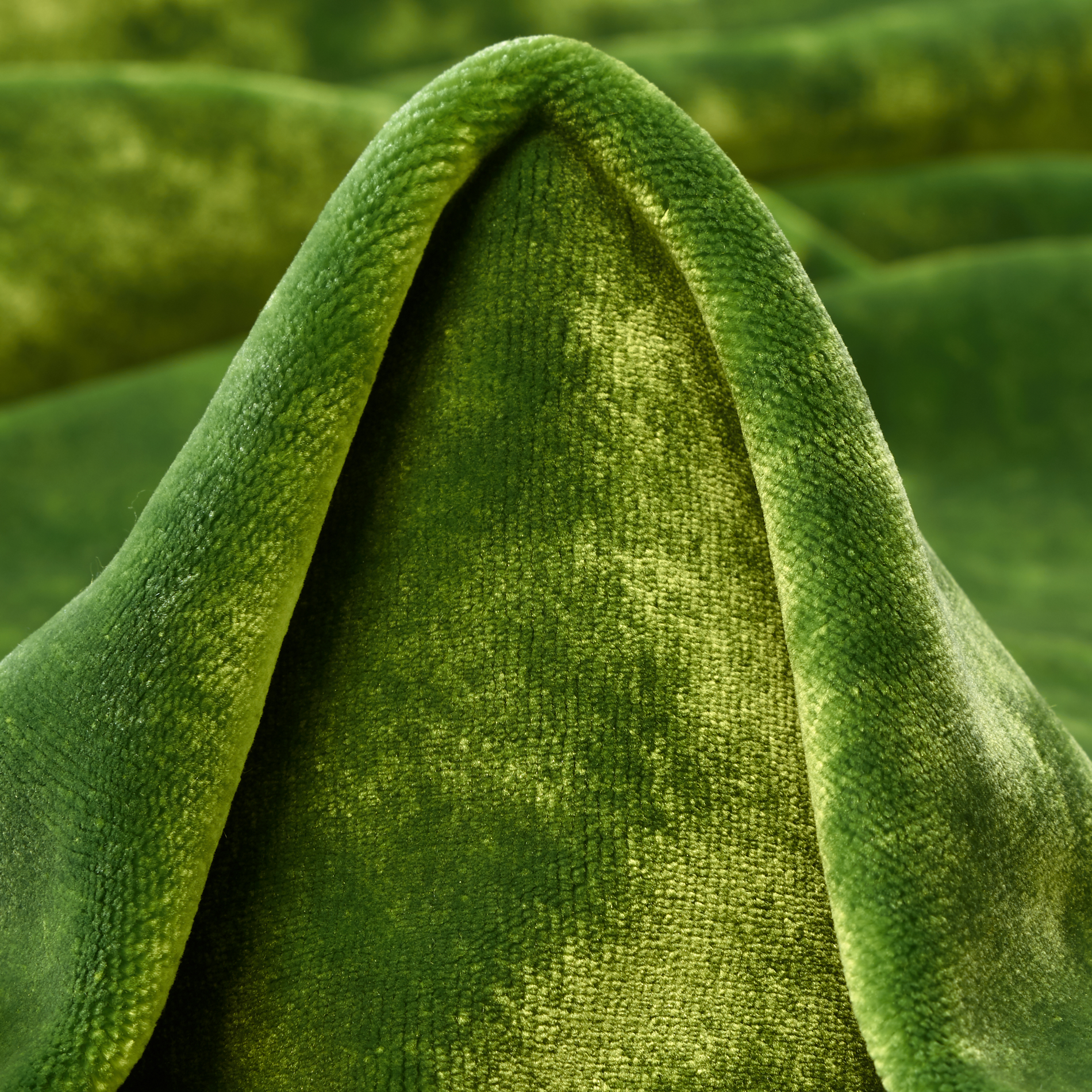 VELVET, VISCOSE, FERN (C0002090)