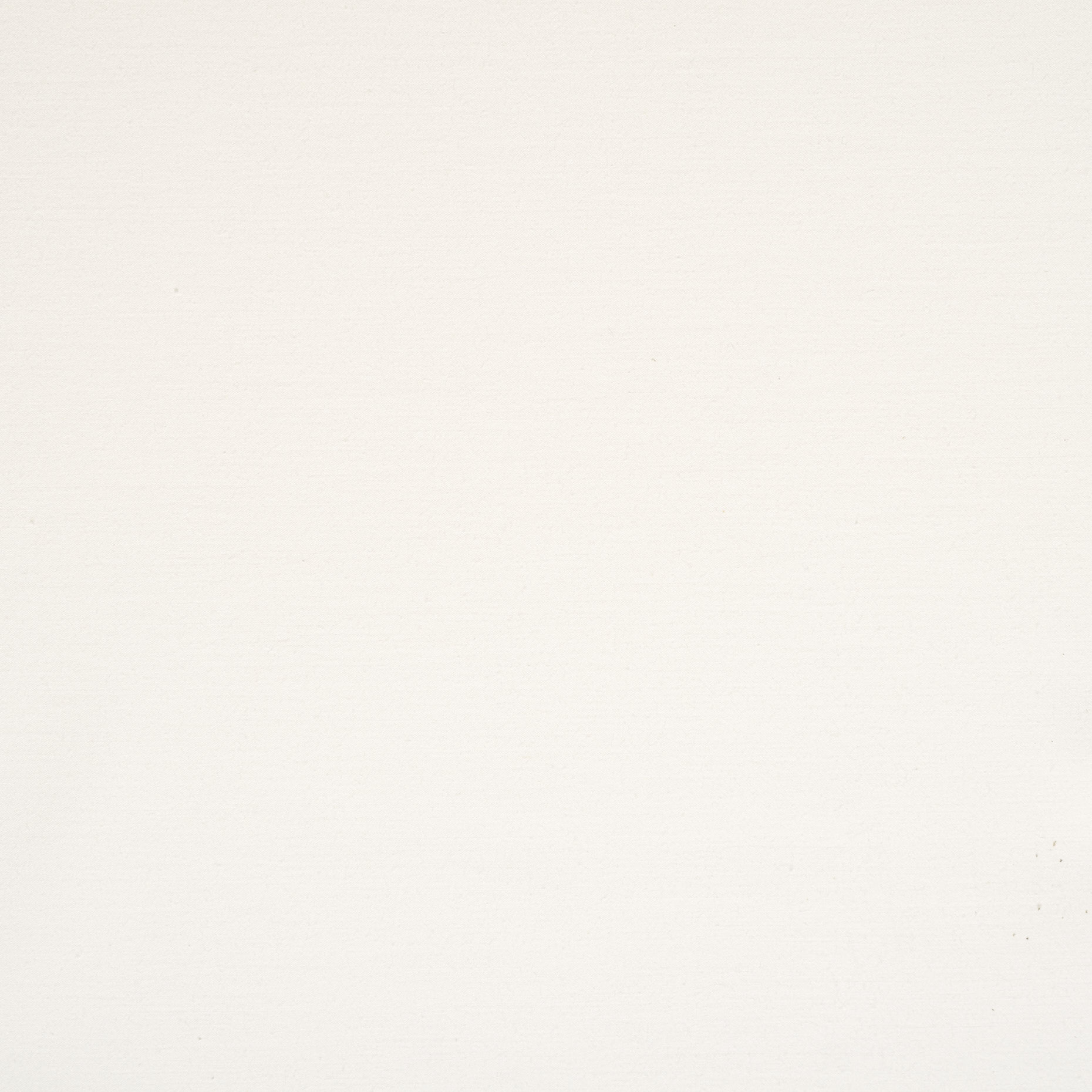 TWILL, COTTON, BRUSHED, BRILLIANT WHITE (F000033760) - Texture