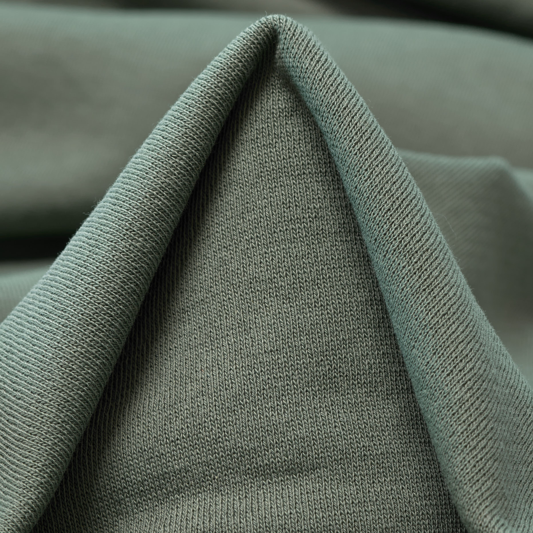 JERSEY, FRENCH TERRY, COTTON, SAGE (F000038691)