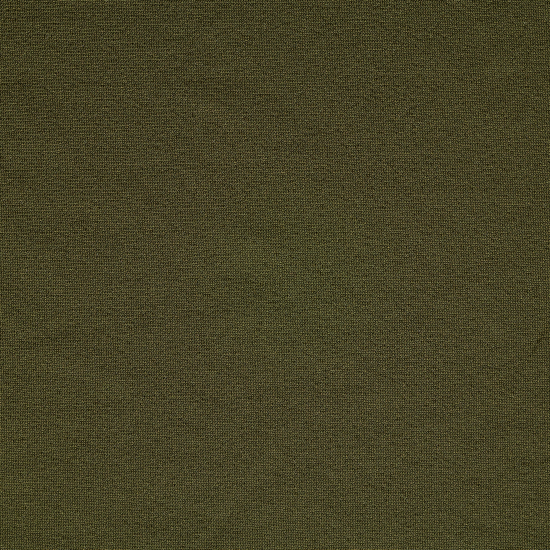 JERSEY, TRANSPARENT, AVOCADO (F000049505) - Texture