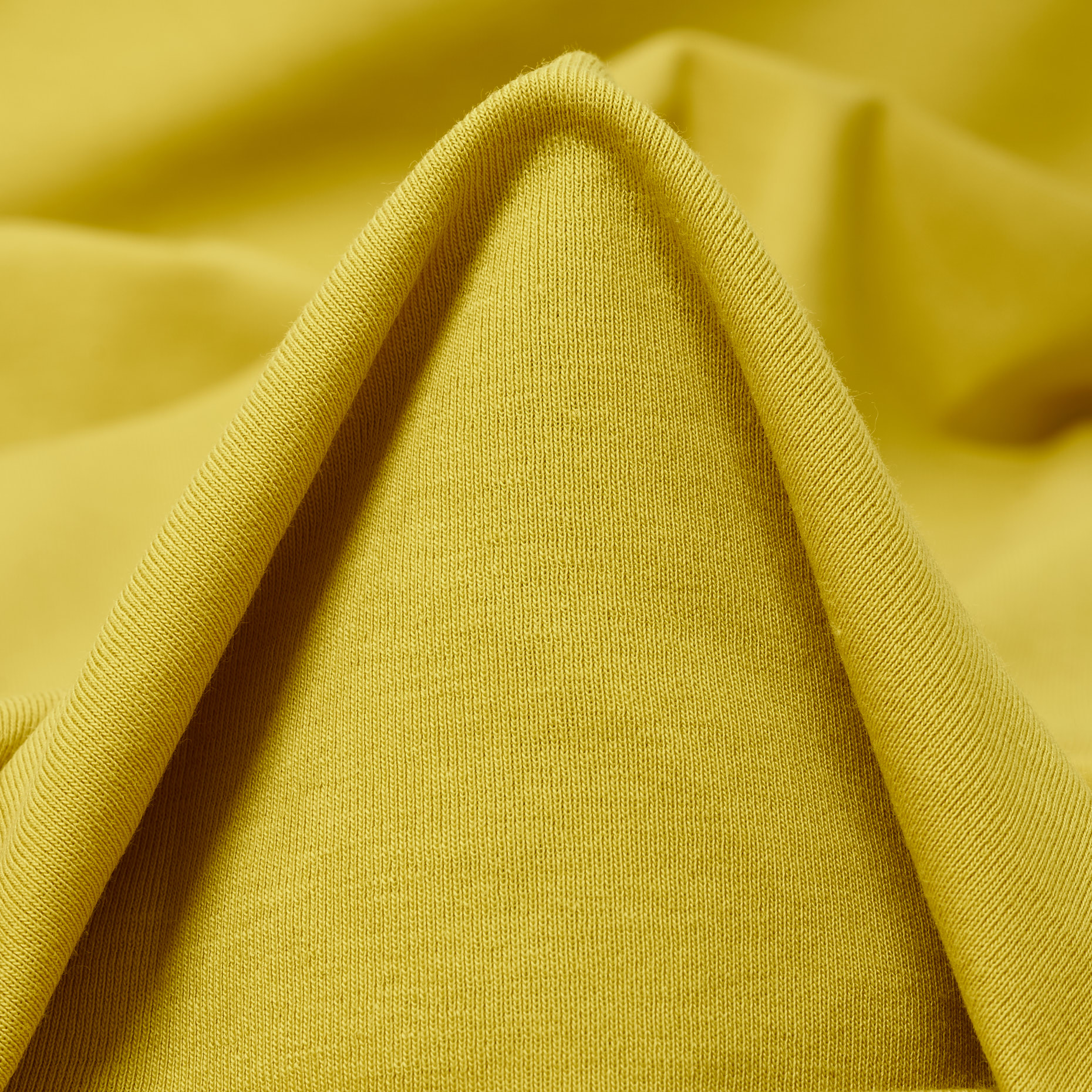 Rippjersey, Baumwolle, Elastik, Cress Green (F000043016)