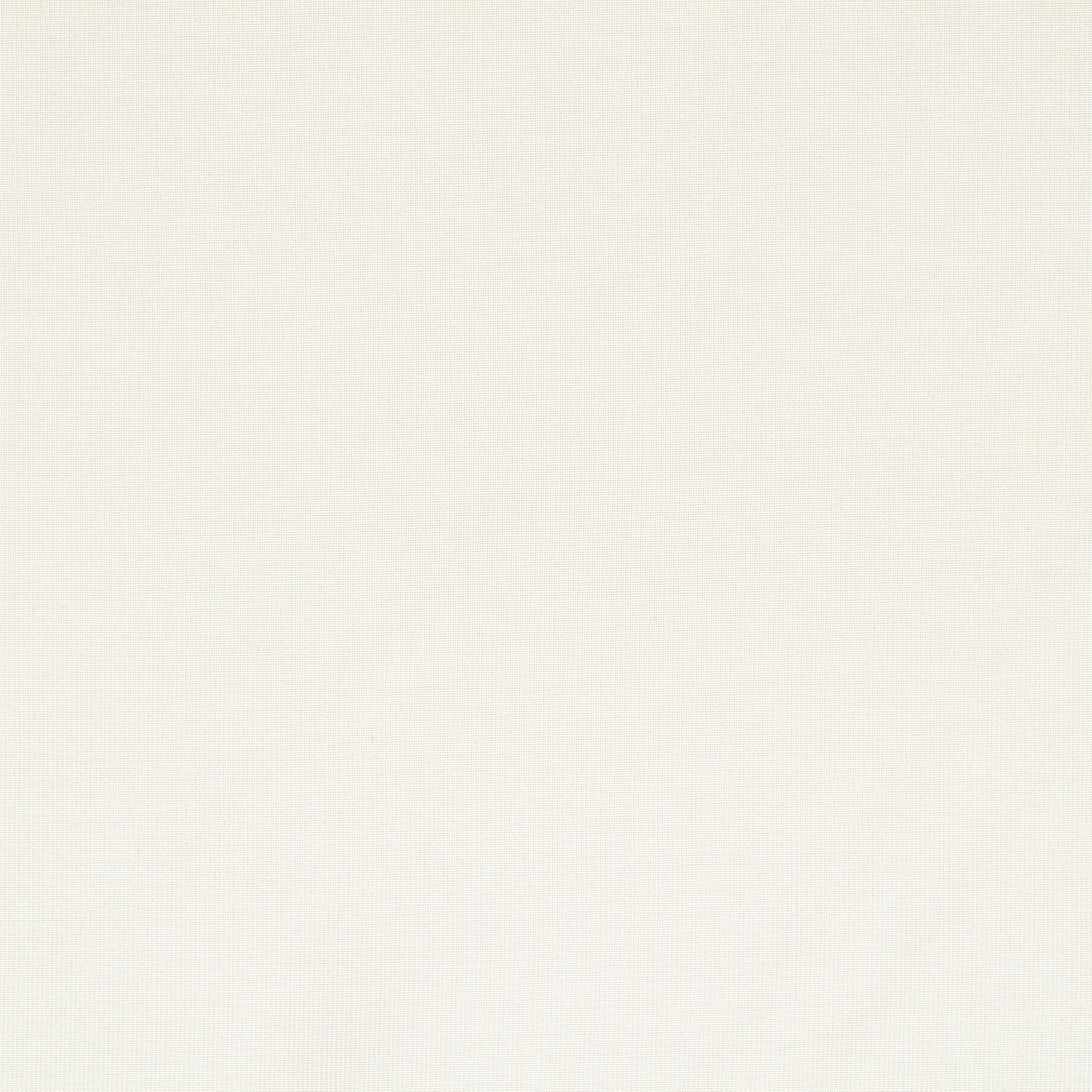 SINGLE JERSEY, IVORY (F0001627) - Texture