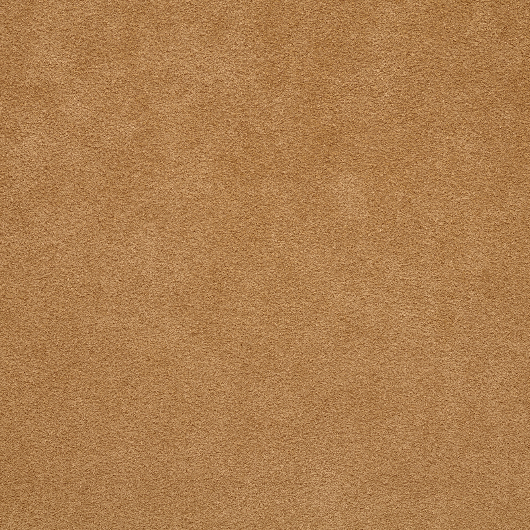 Finta Pelle, Irish Cream (F000046557) - Trama