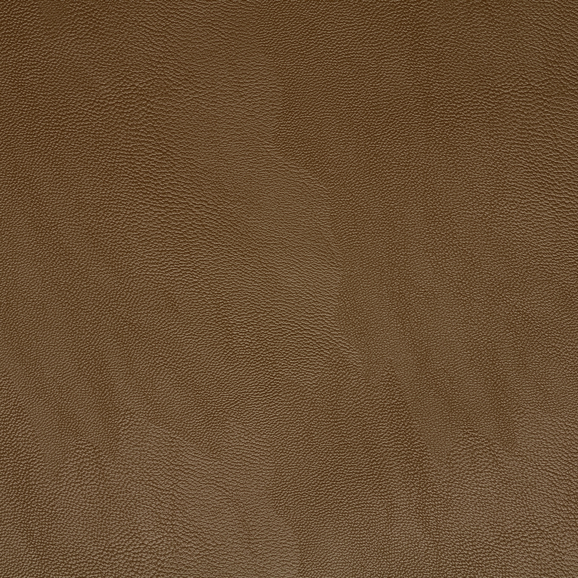VEGAN LEATHER, CORNSTALK (F000049486) - Texture