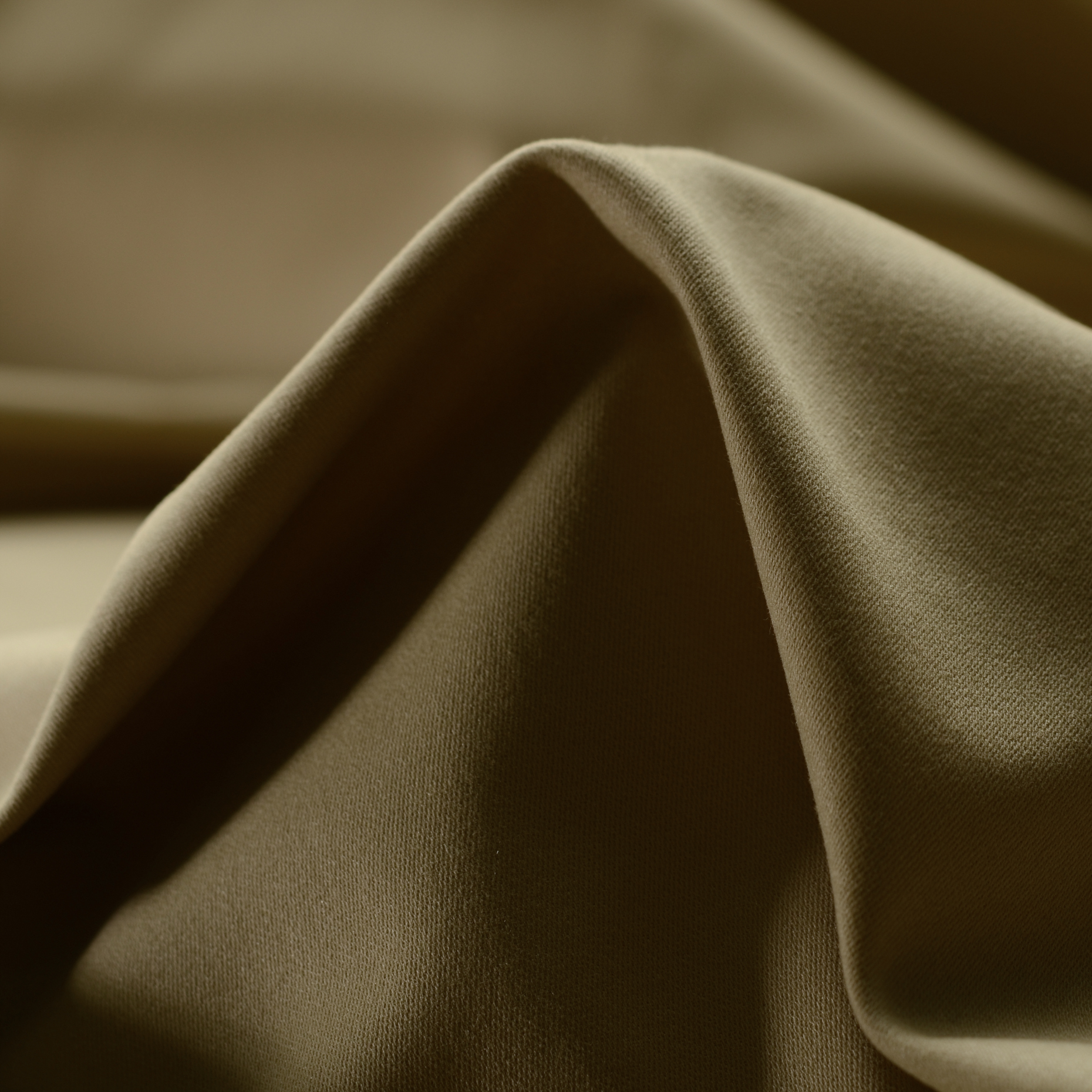 Твил, Хлопок с эластаном, Шлифованный, Brown Rice (F000015955)