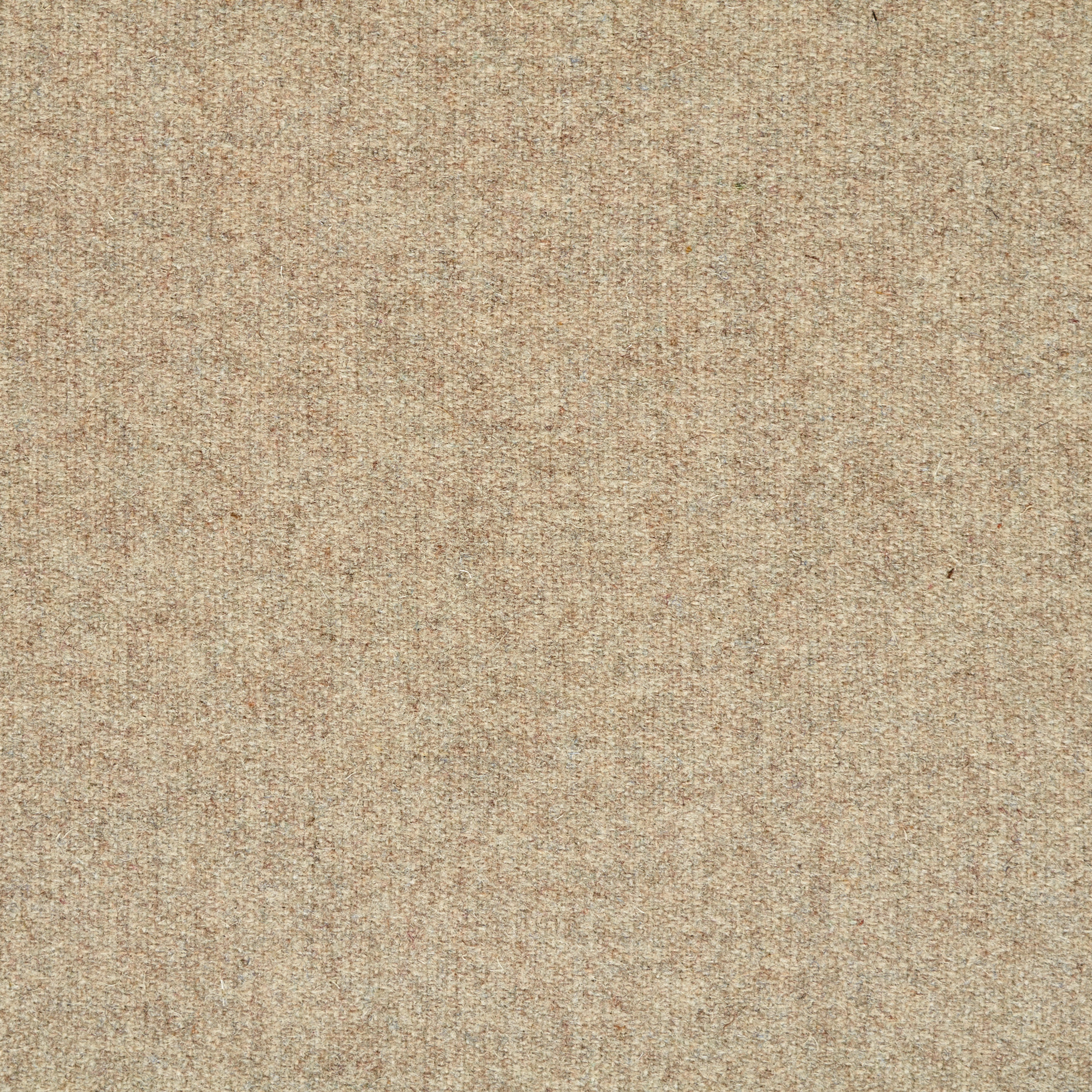 BOILED WOOL, CASHMERE BLEND, MELANGE, OYSTER GRAY (F000047959) - Texture