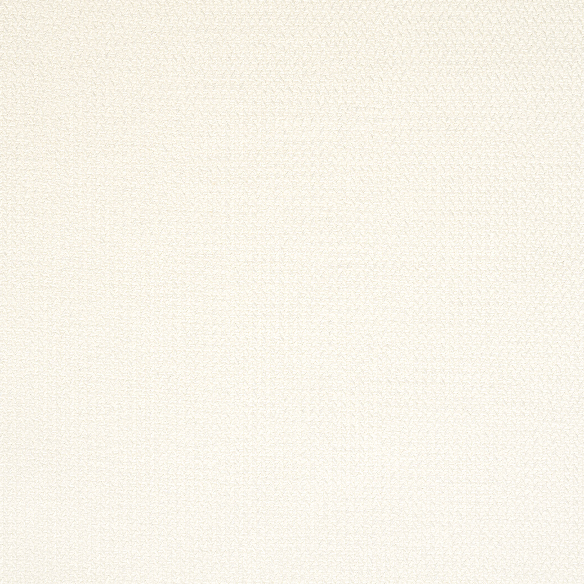 COTTON, MICRO STRUCTURE, ELASTIC, SNOW WHITE (F000044587) - Texture