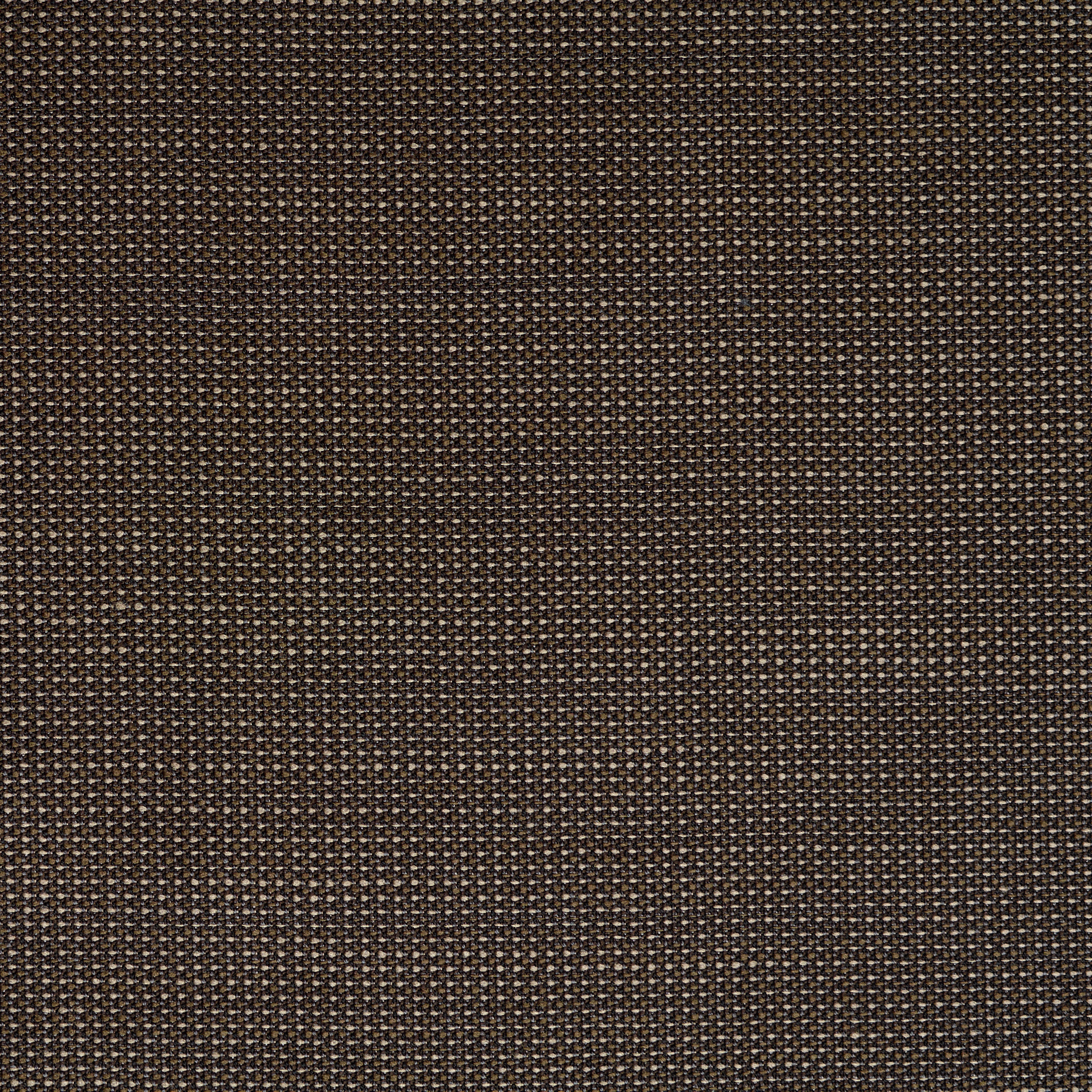 COOL WOOL, VIRGIN WOOL, MICRO DESIGN, DRIED SAGE (F000047462) - Texture