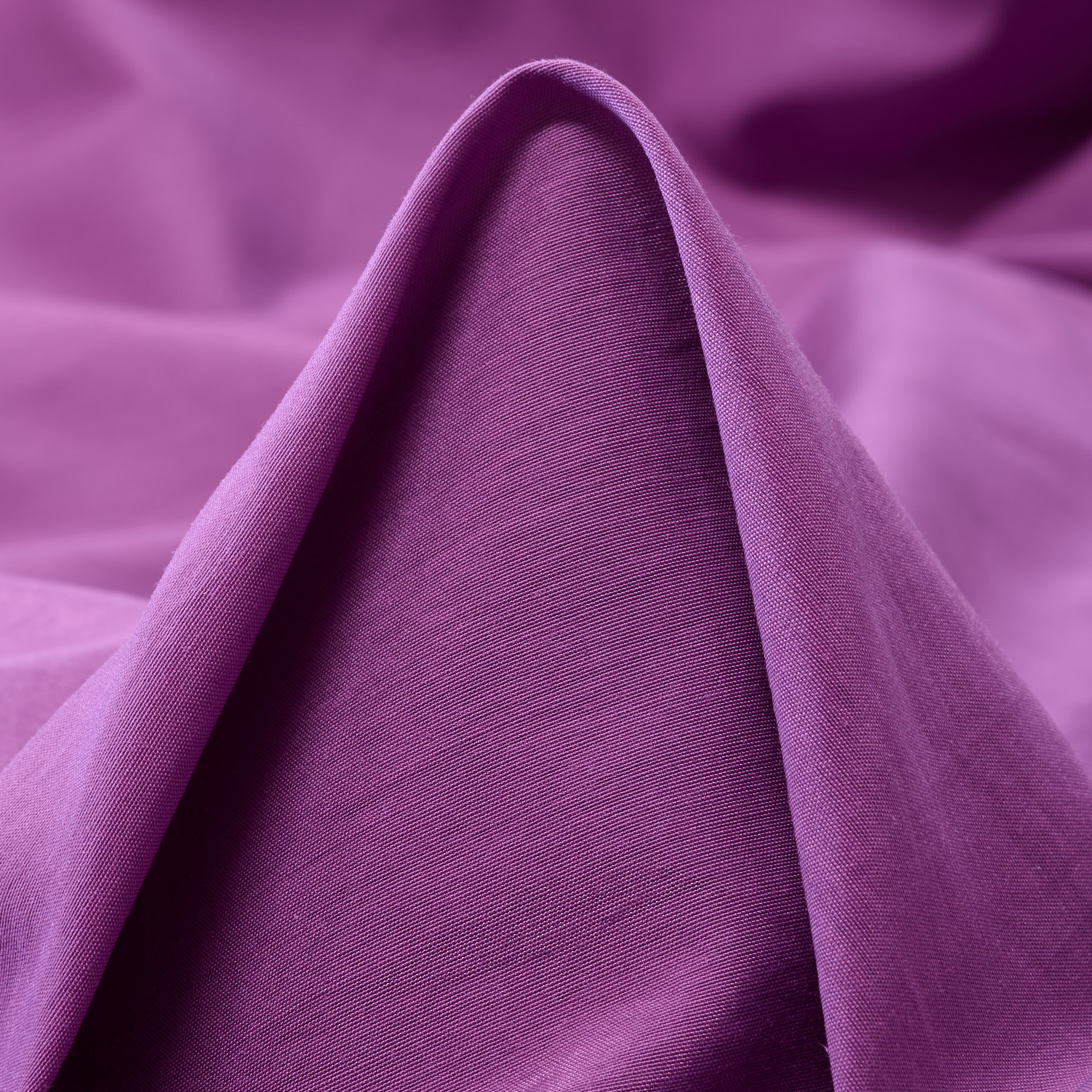 BATISTE, COTTON, DAHLIA (F000034281)