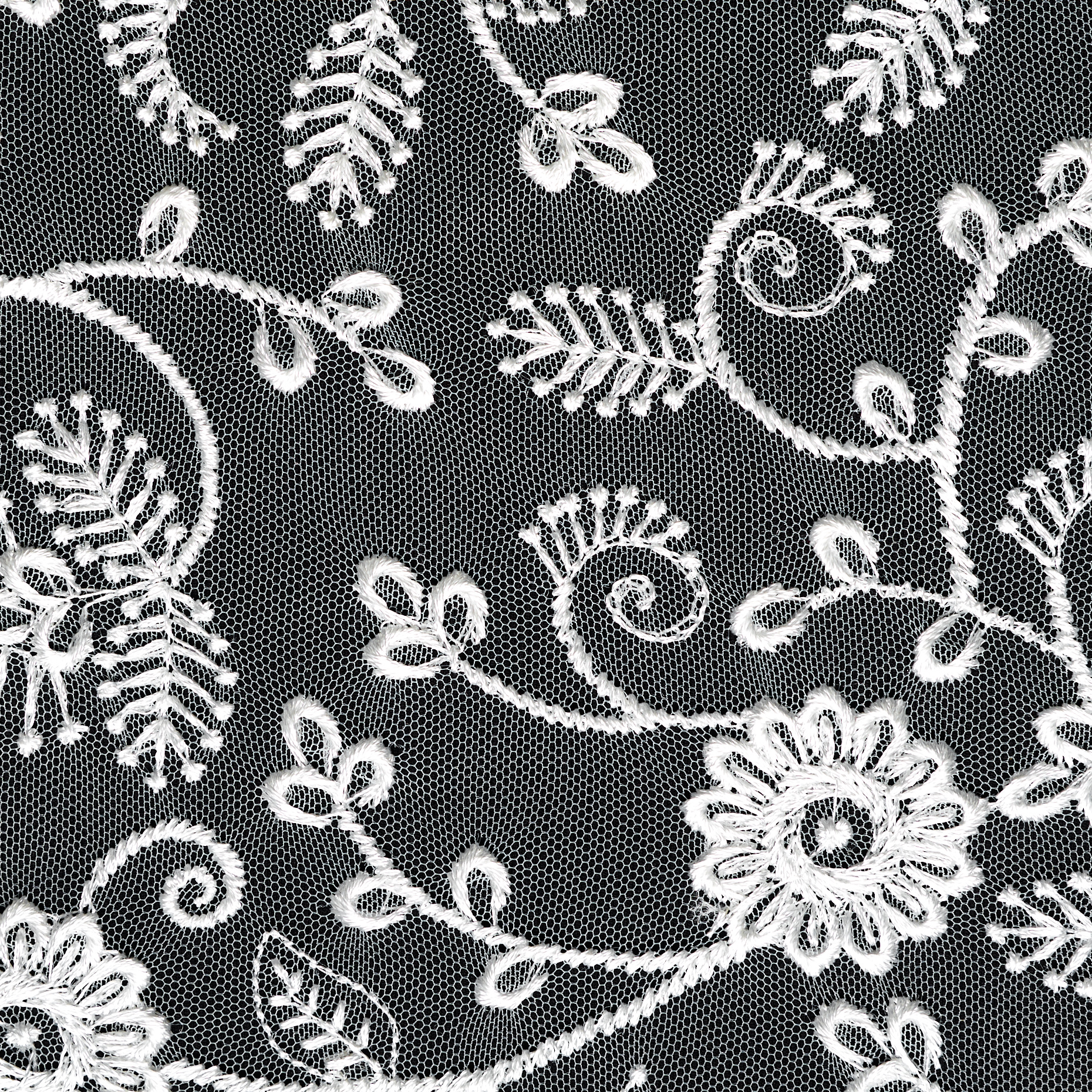 LACE, EMBROIDERED, FLORAL, BRILLIANT WHITE (F000047191) - Texture