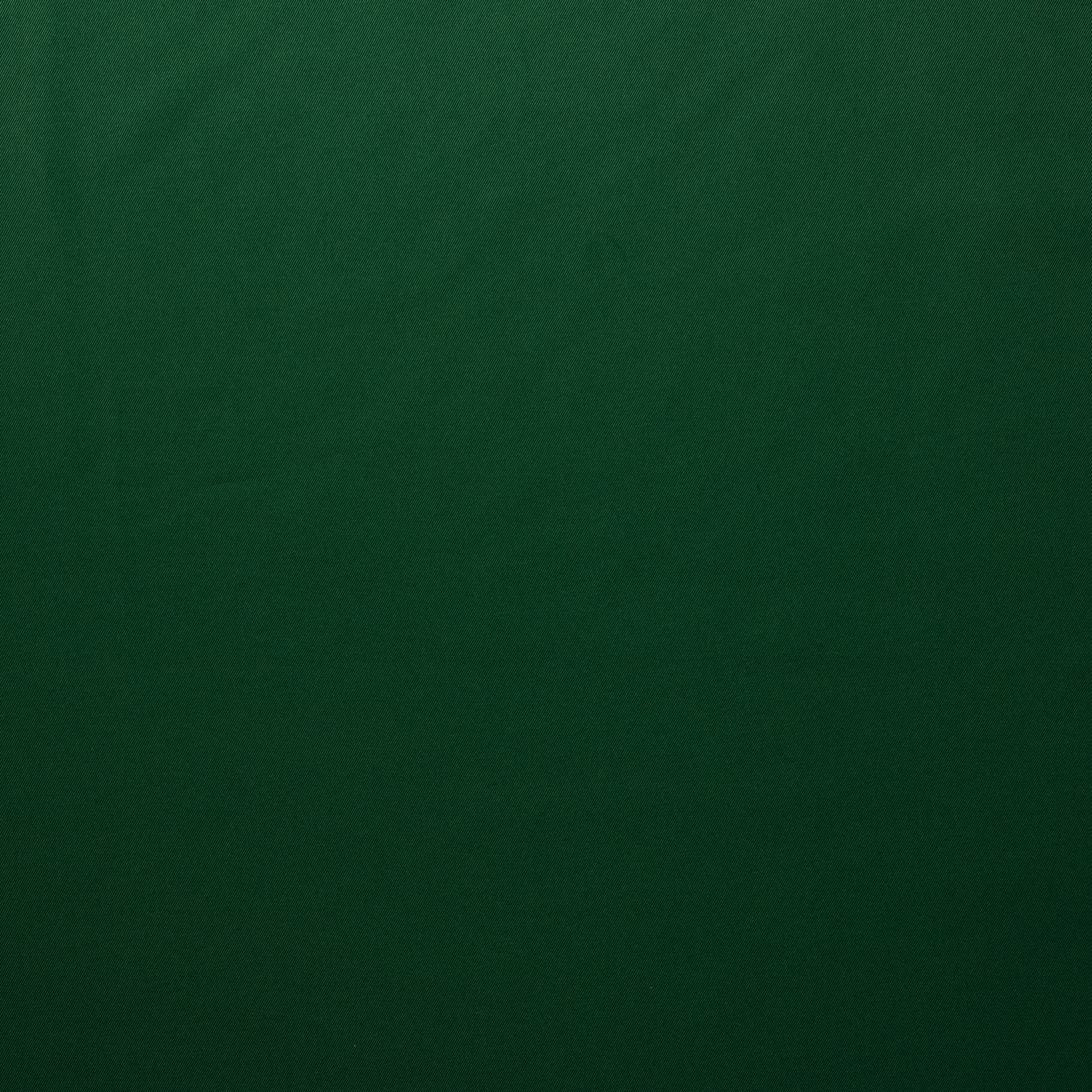 SATIN, BOTTLE GREEN (F000014936) - Texture