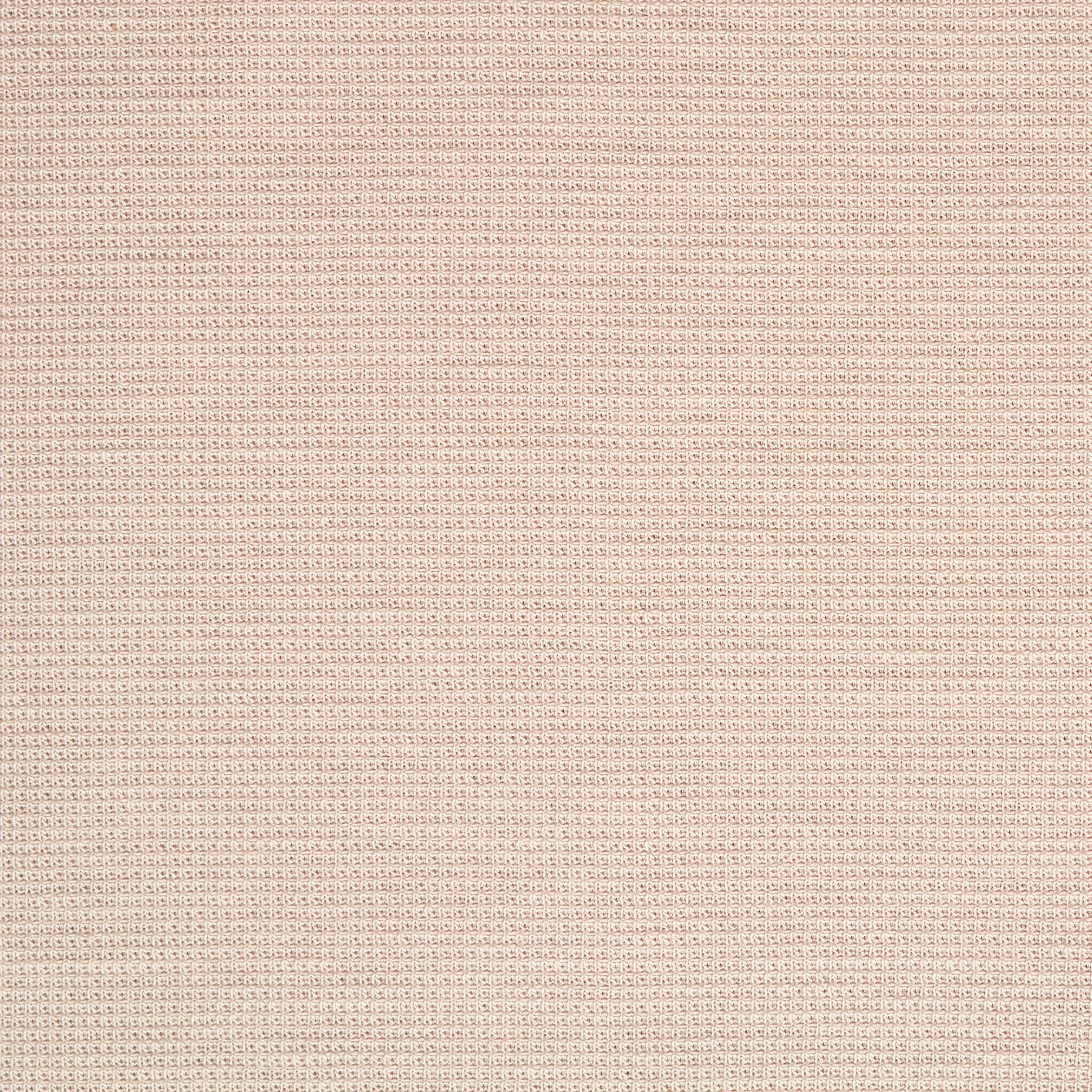 JERSEY, COTTON, ELASTIC, PINK TINT (F000044160) - Texture