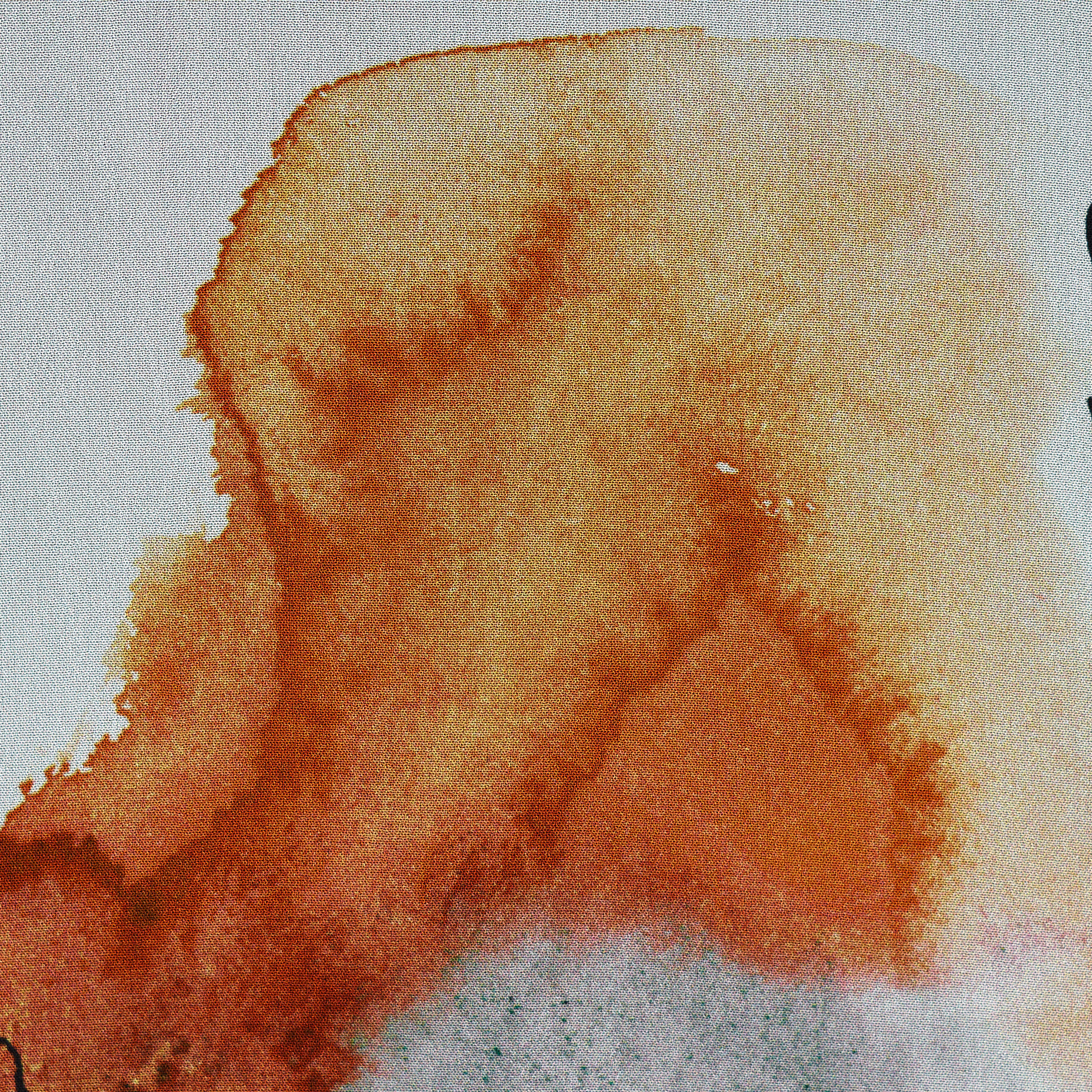 CRÊPE, VISCOSE, PRINTED, WHITE ONYX&JAFFA ORANGE (F000043826) - Texture