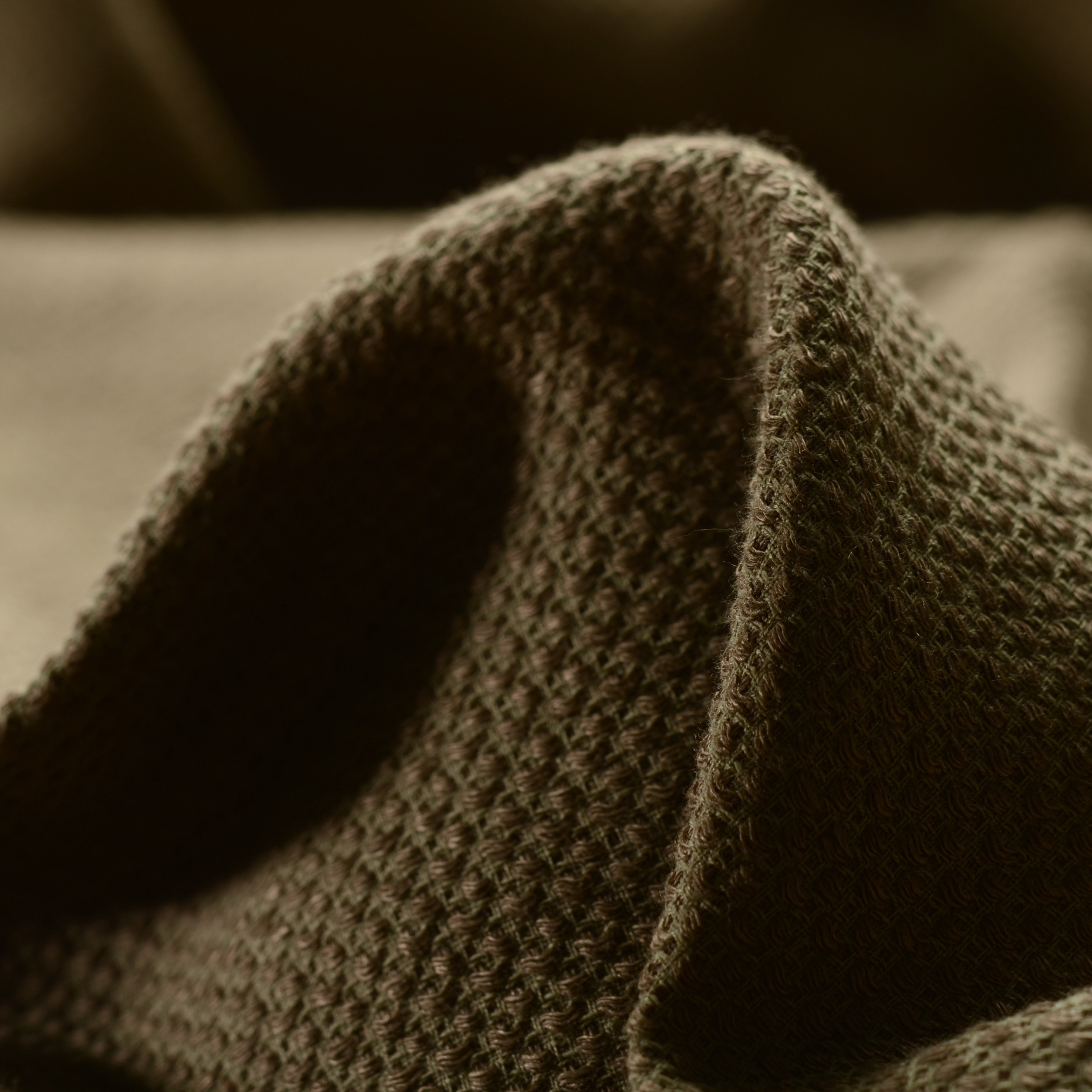 COTTON, MICRO DESIGN, GREIGE (F000014934)