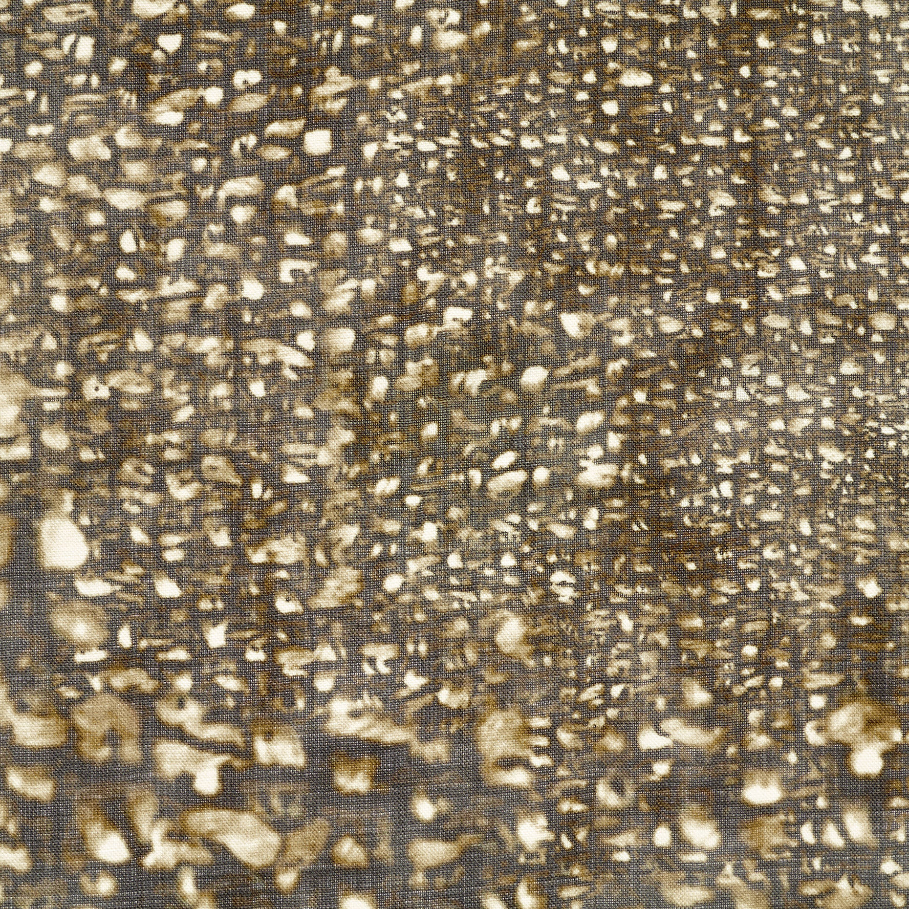 Crêpe, Lana Virgen, Estampado, Dark Olive (F000034684) - Tejido