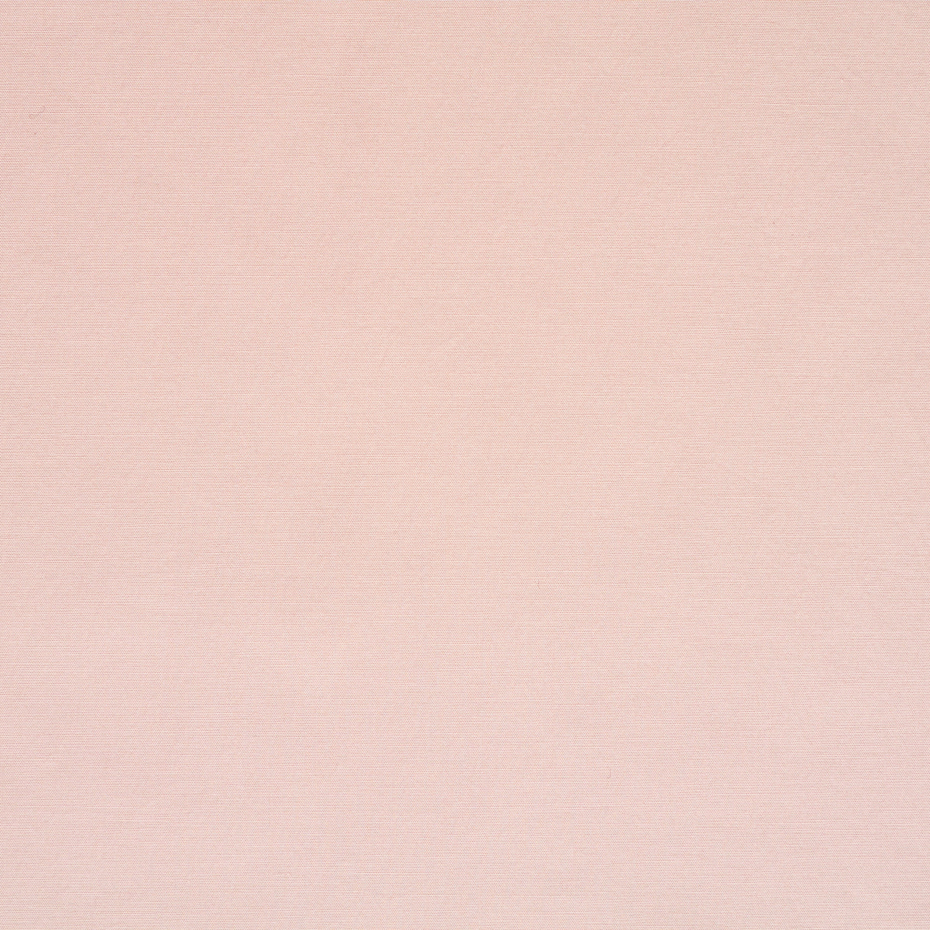 POPLIN, COTTON, ELASTIC, CALCITE (F000045627) - Texture