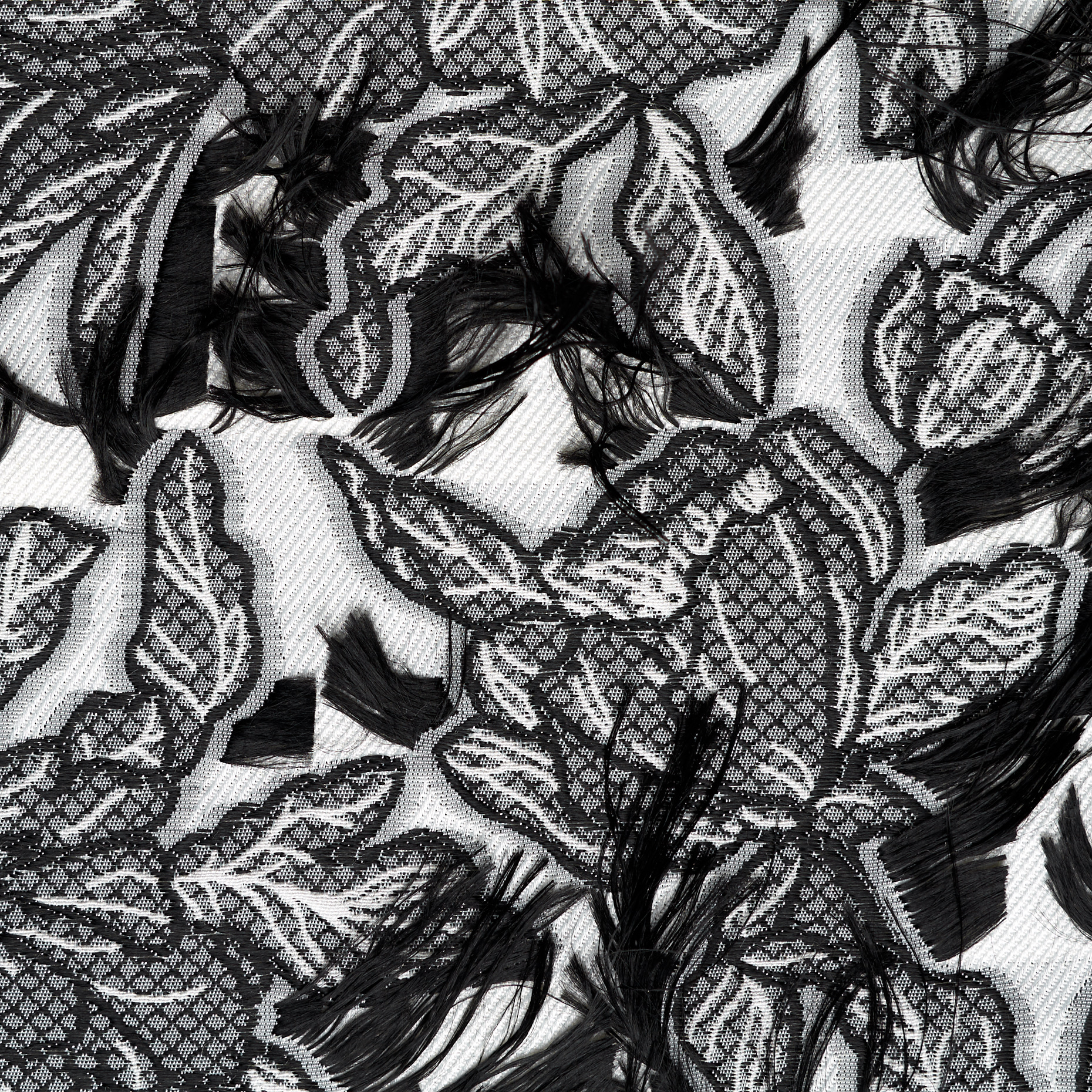 Жаккард , Вискоза, Цветы, Raven Black&Brilliant White (P000004570) - Ткань