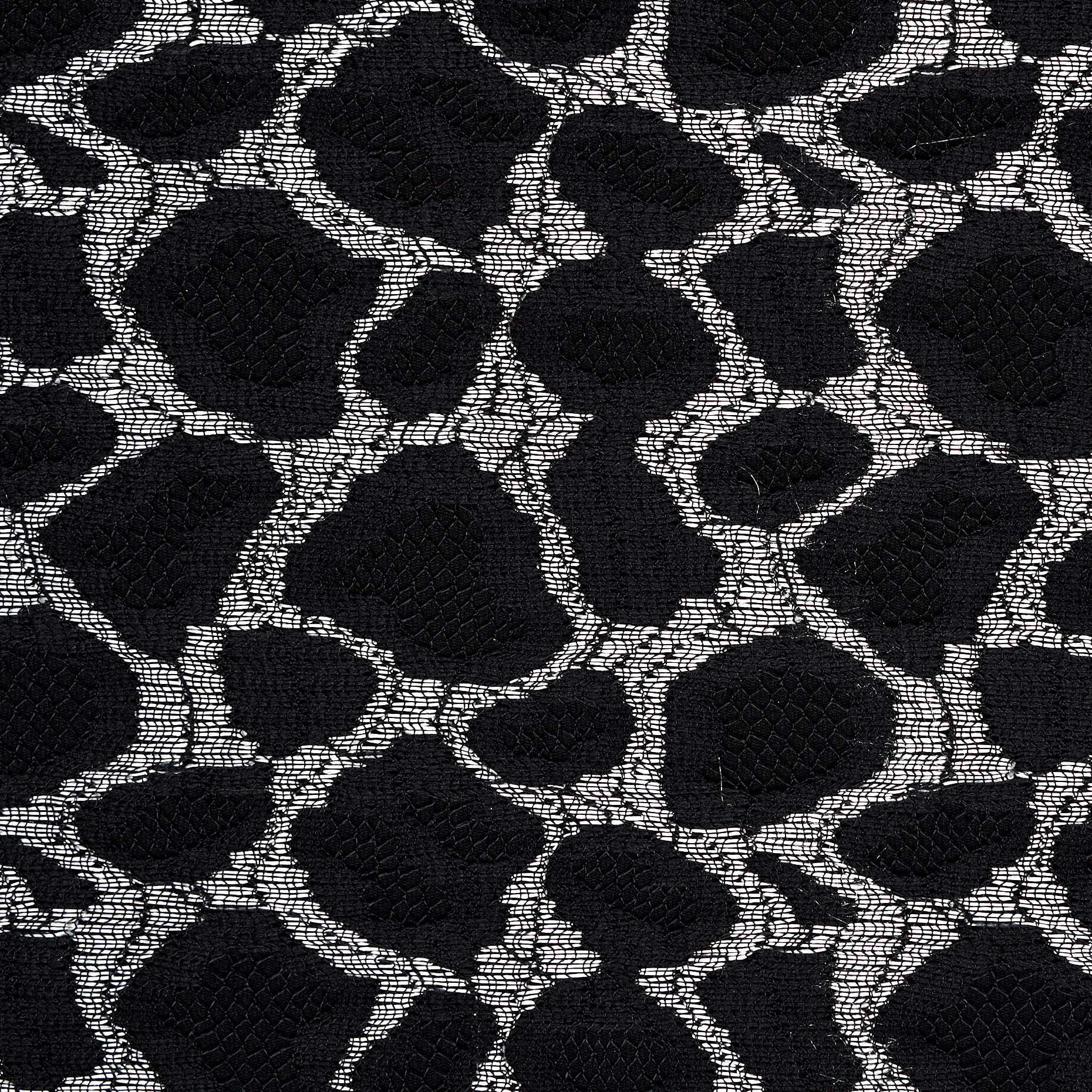 Dentelle, Lúrex, Silver&Raven Black (F000045538) - Tissage