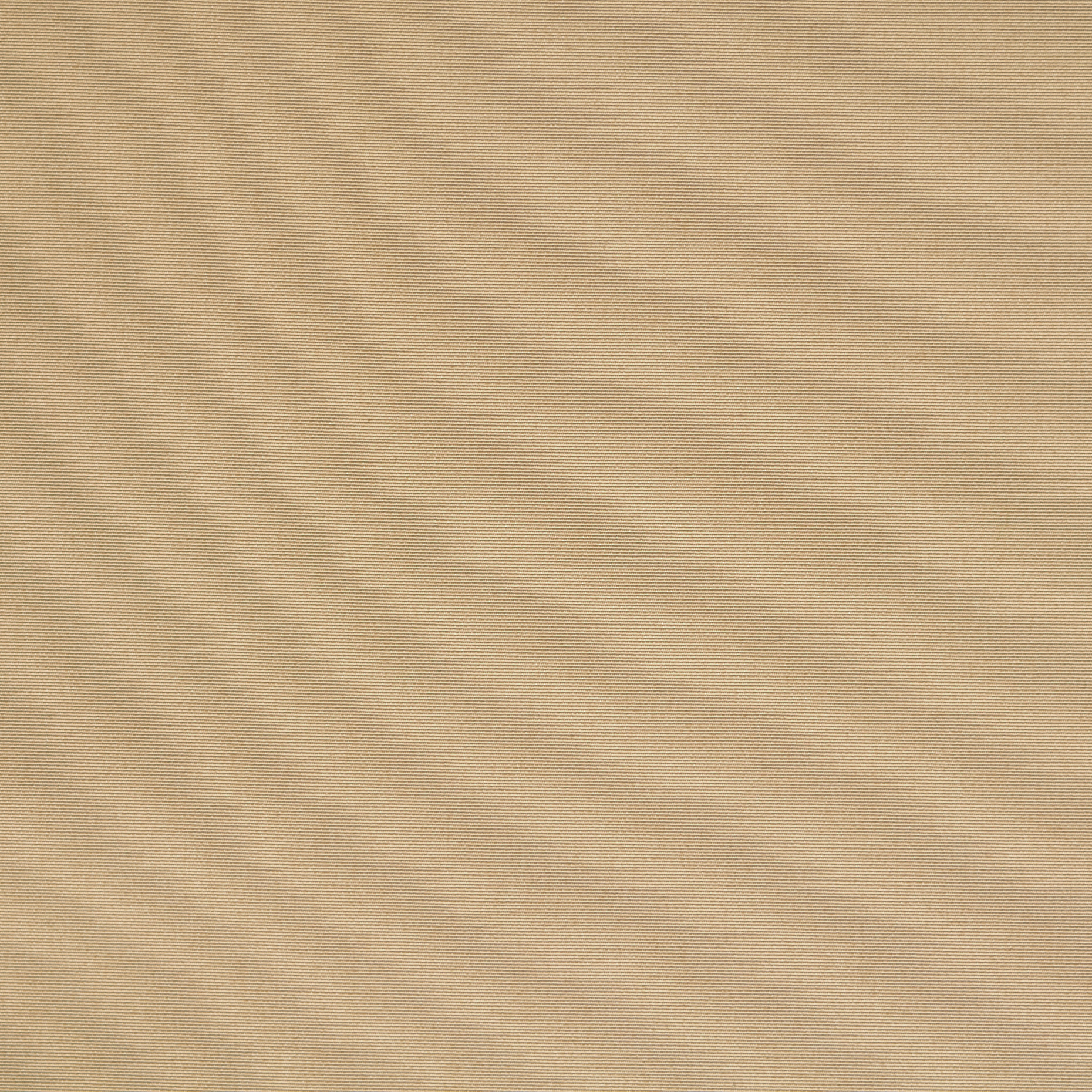 RIBS, COTTON, MOJAVE DESERT (F000048943) - Texture