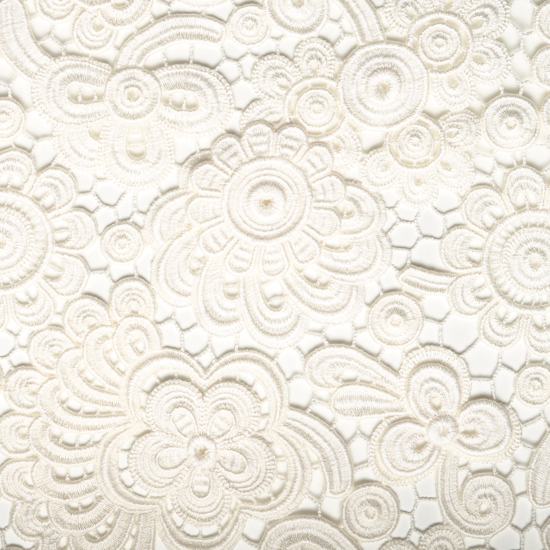 LACE, COTTON, FLORAL, BRILLIANT WHITE (F000033774) - Texture