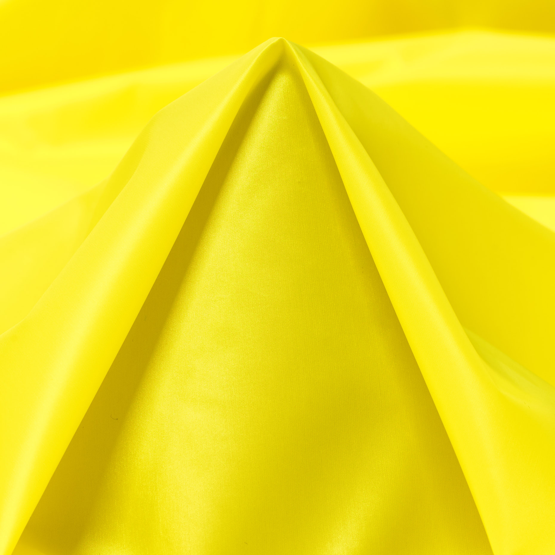 OUTDOOR, SHINY, CANARY BIRD (F000035921)