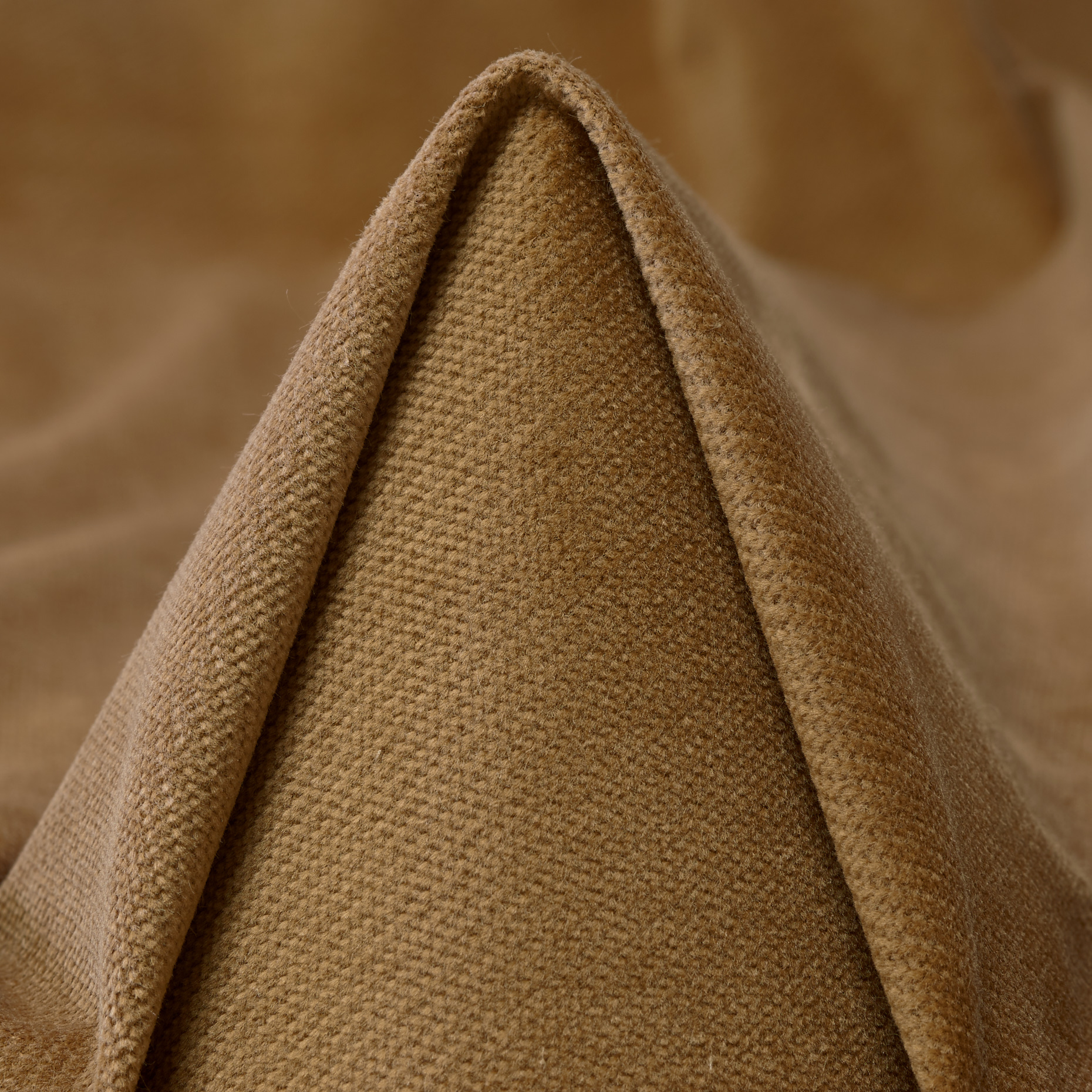 VELVET, COTTON, CARTOUCHE