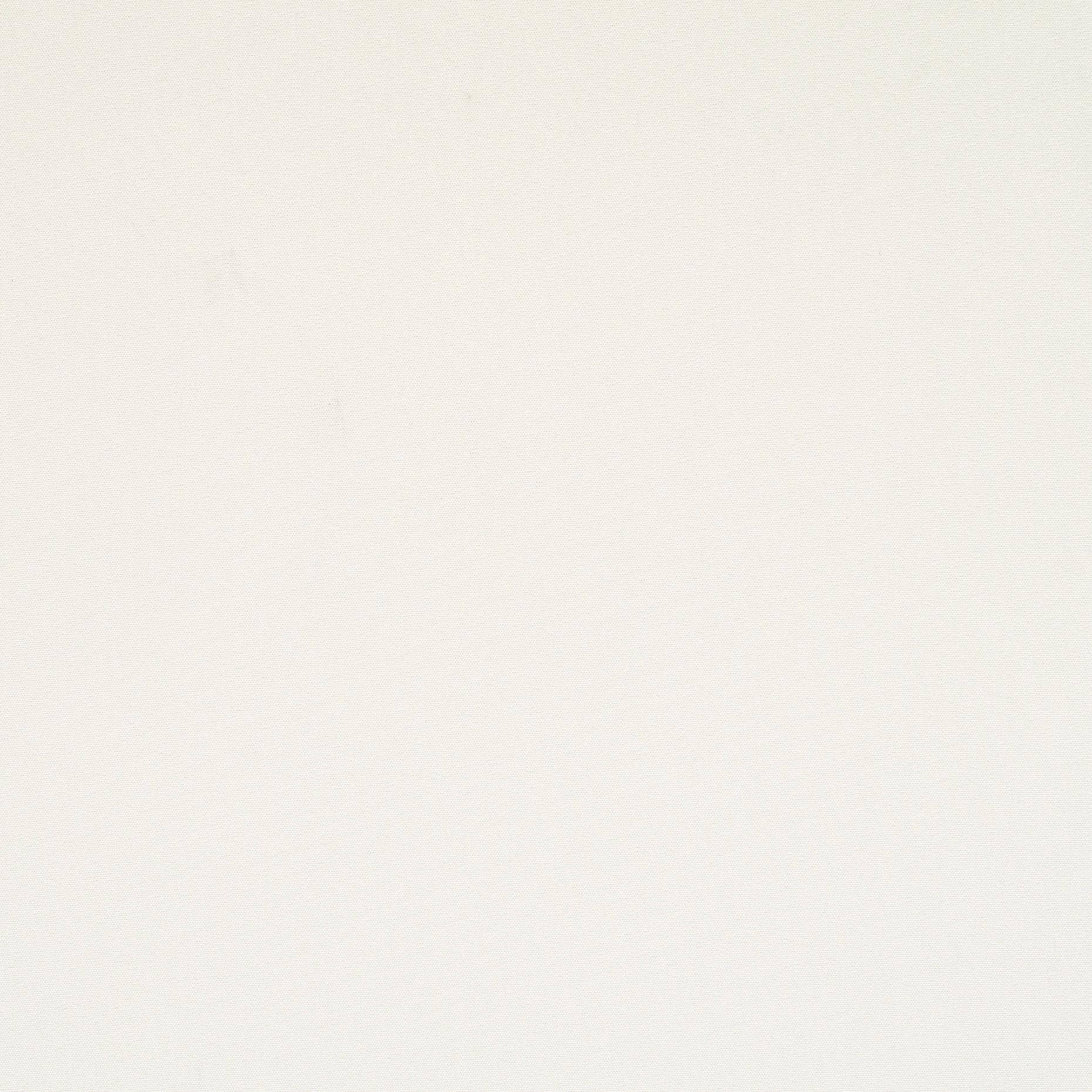 POPLIN, ELASTIC, PEARL (F000027464) - Texture