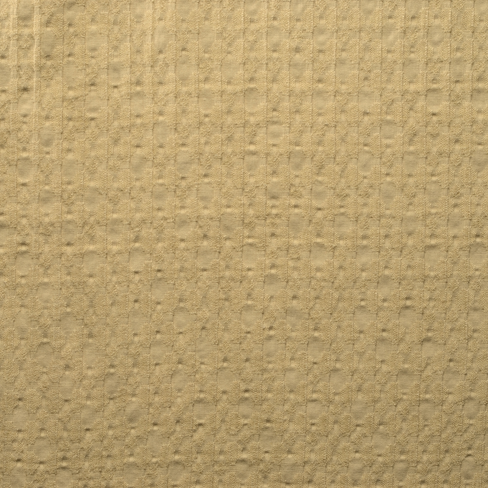 JACQUARD, COTTON ELASTIC, TONE ON TONE, ALMOND (F000016029) - Texture