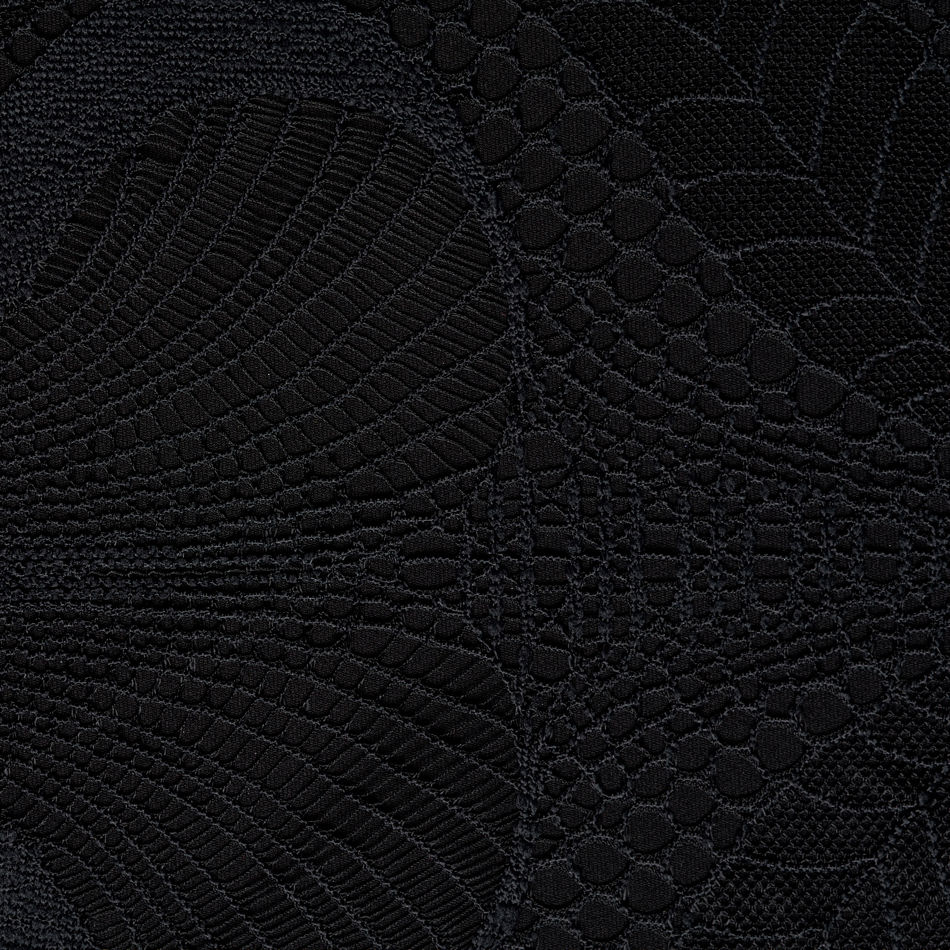 LACE, RAVEN BLACK (F000048607) - Texture
