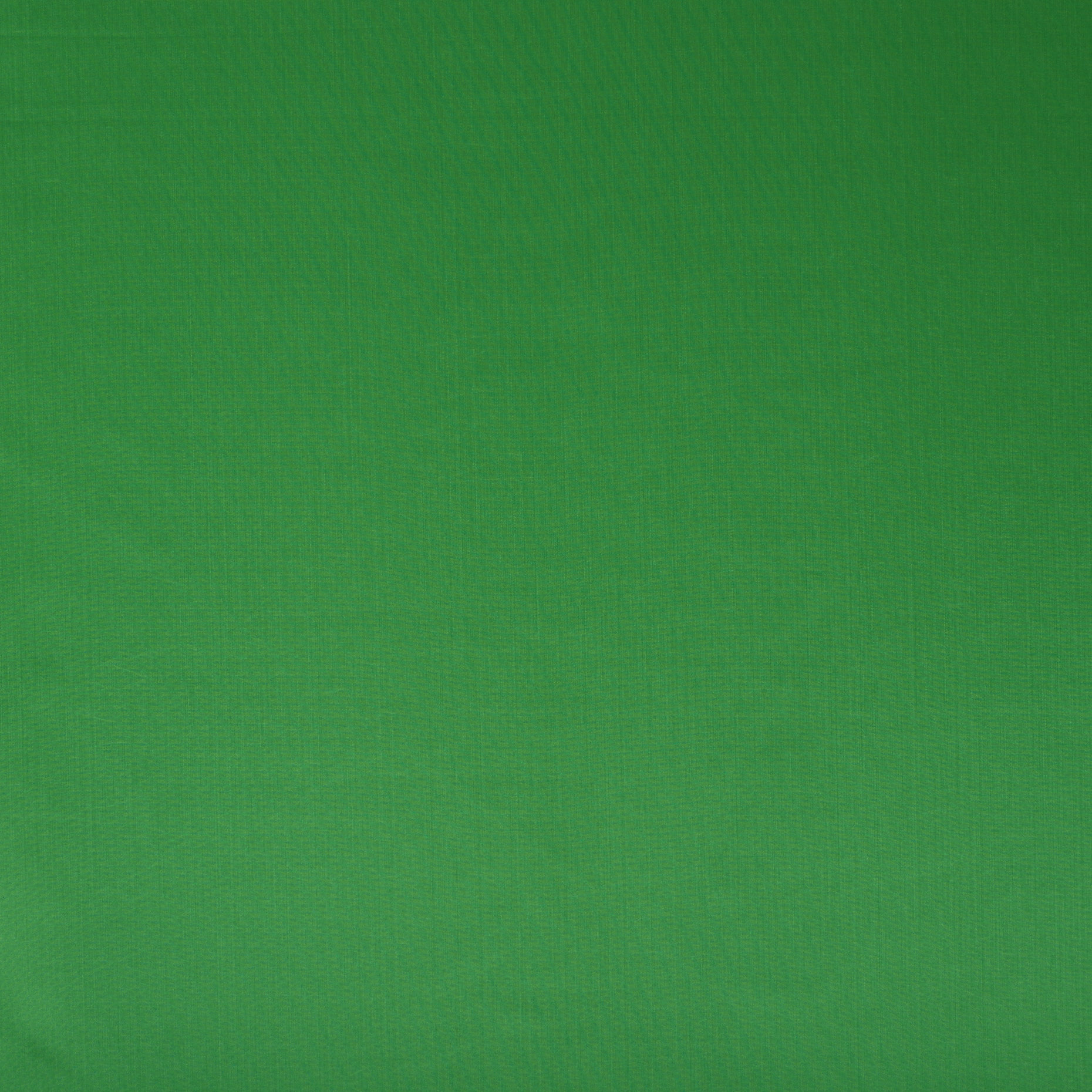 OUTDOOR, GREEN BEE (F000037318) - Texture