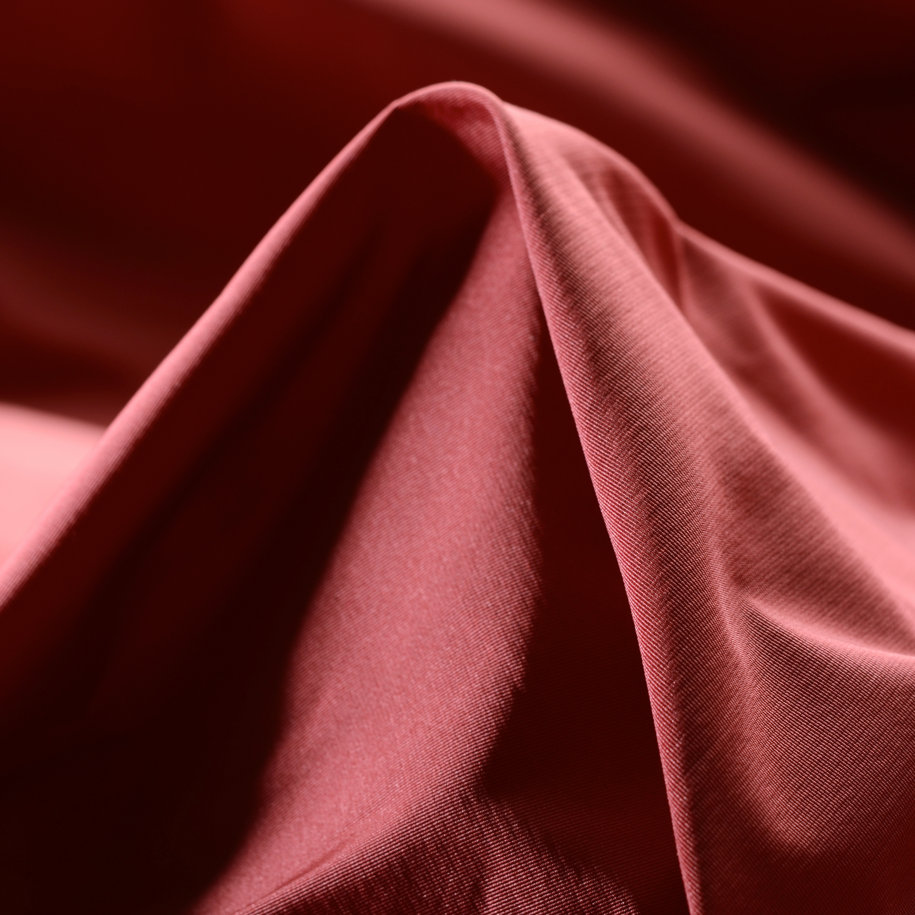 OUTDOOR, DESERT ROSE (F000023760)